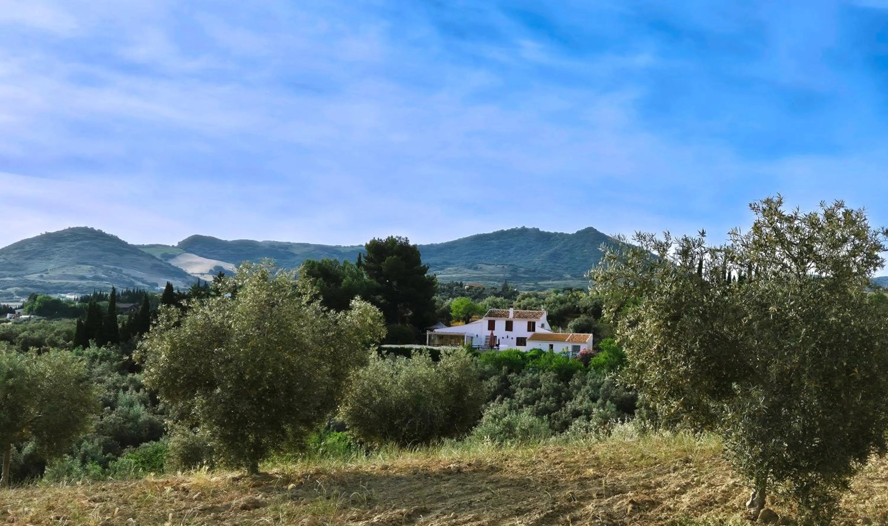 Property building in Finca Amorosa