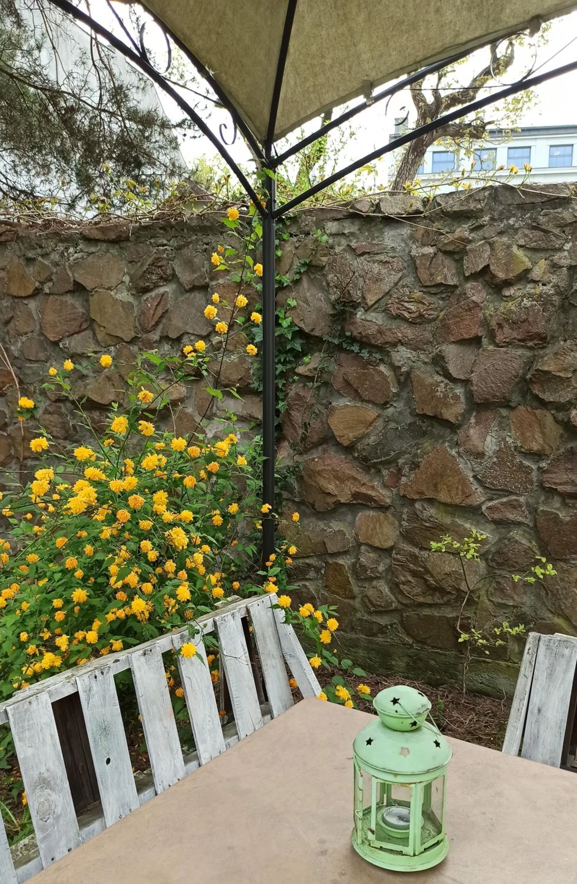 Patio in Willa Retro Hostel & Garden