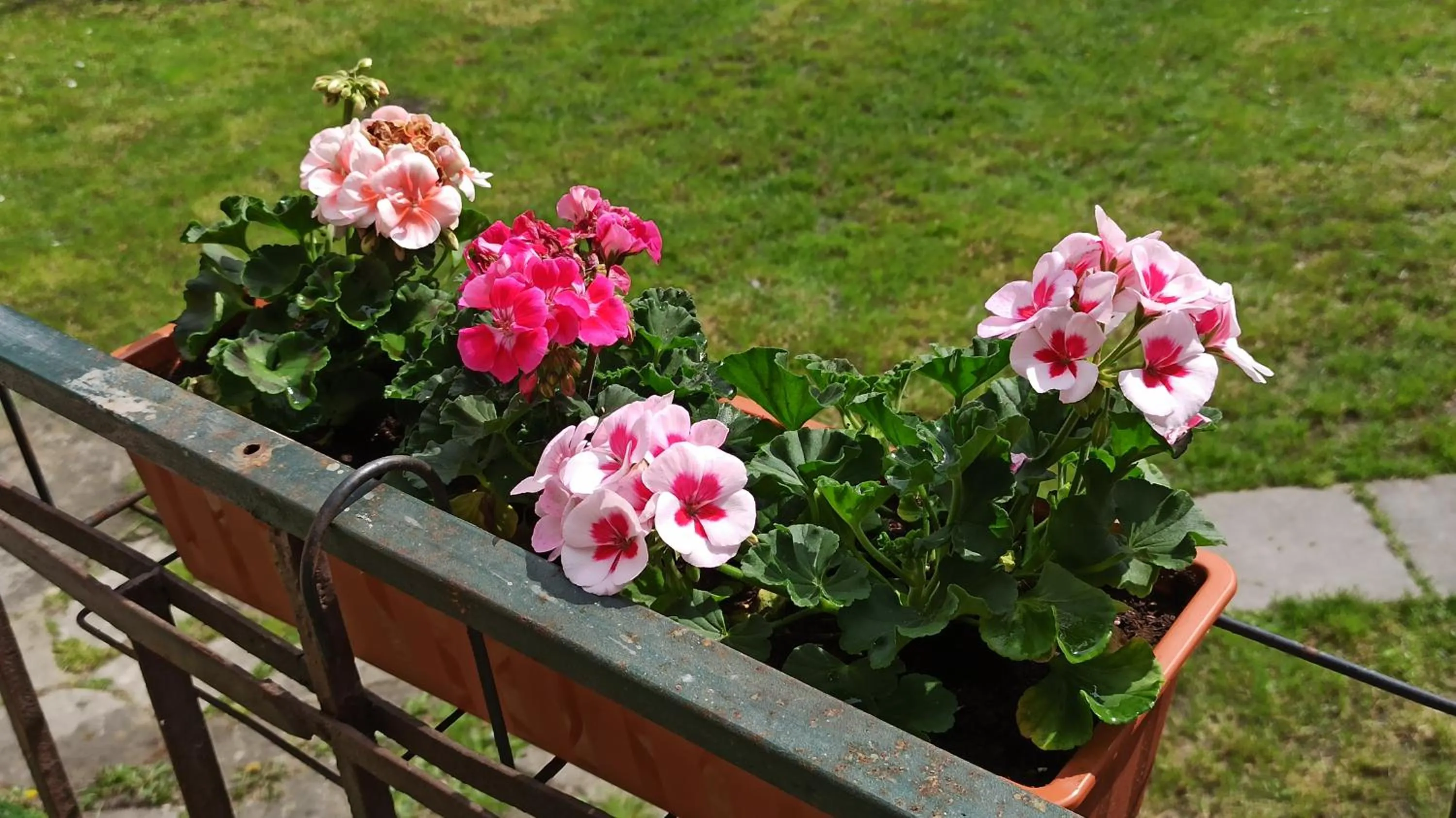 Spring in Willa Retro Hostel & Garden