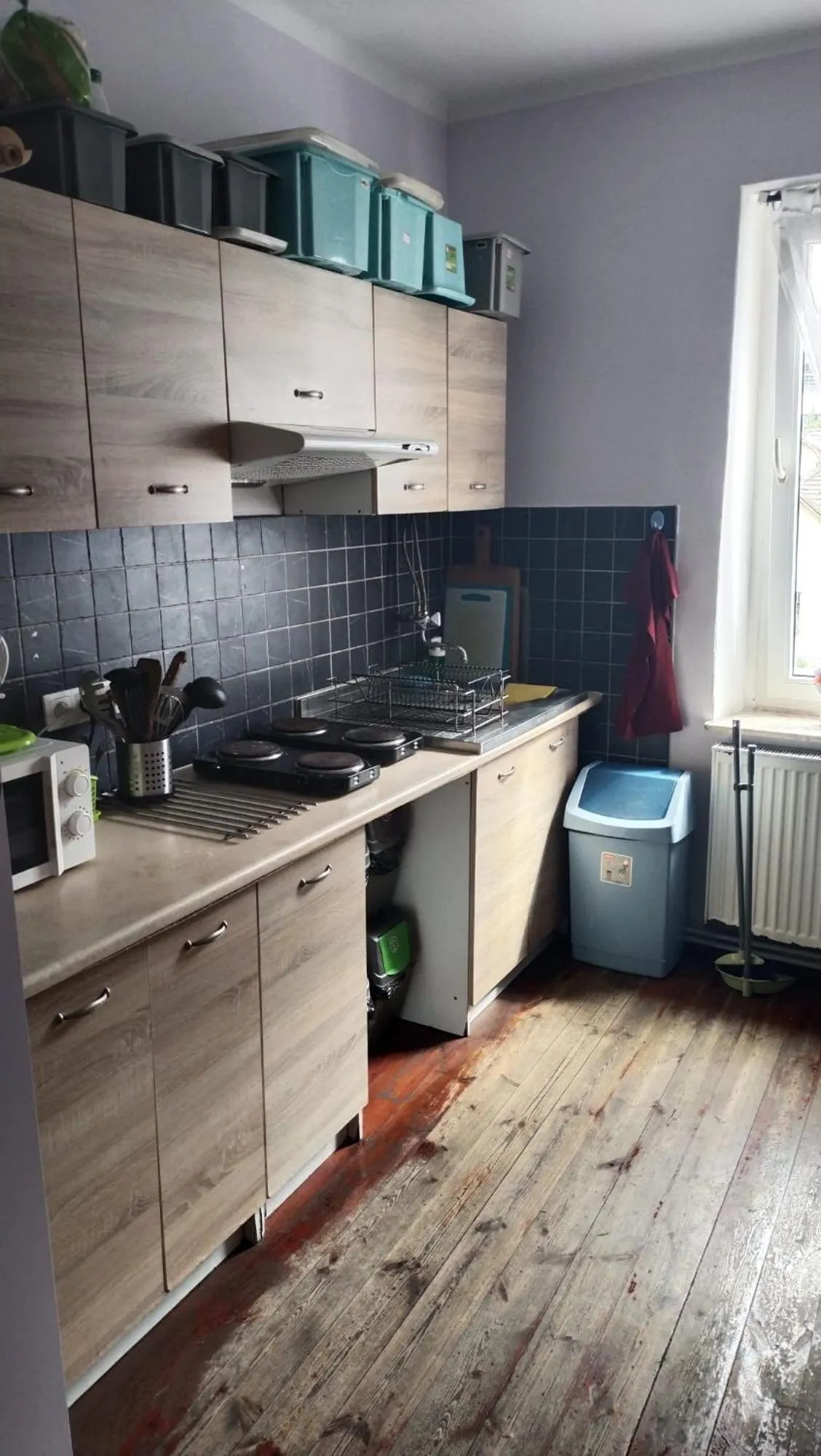 Kitchen or kitchenette in Willa Retro Hostel & Garden