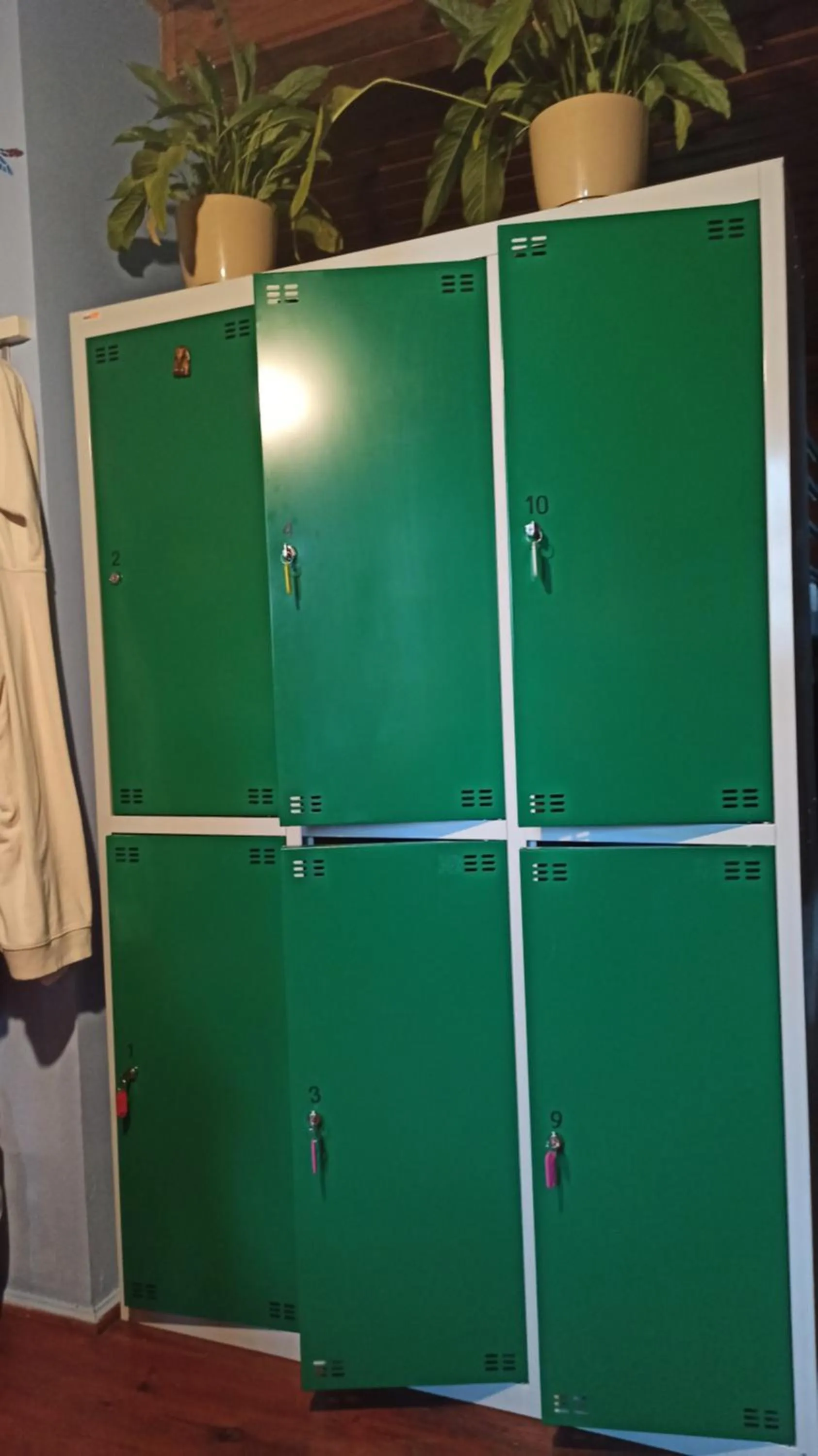 Photo of the whole room in Willa Retro Hostel & Garden