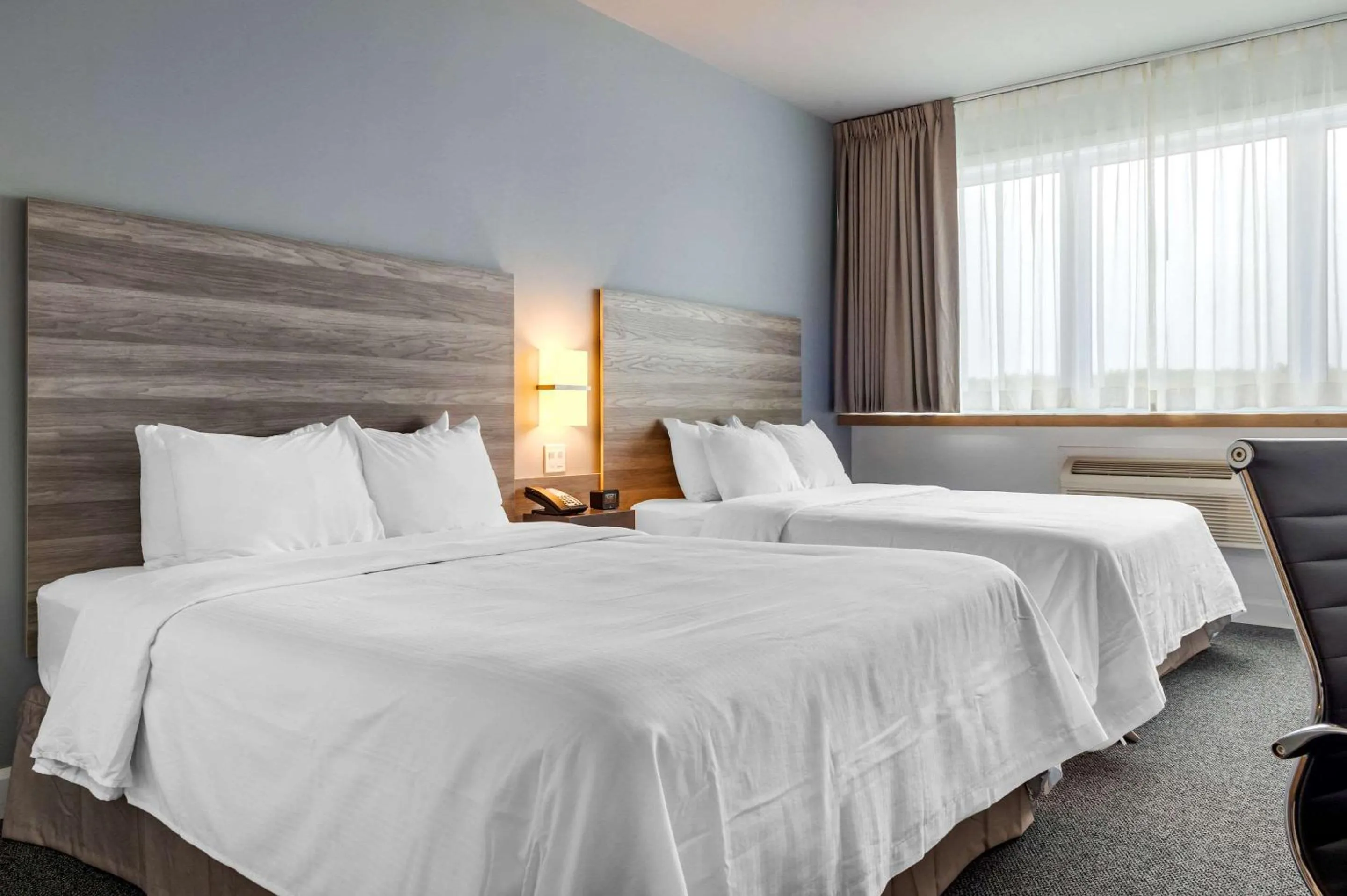 Photo of the whole room, Bed in Rodeway Inn