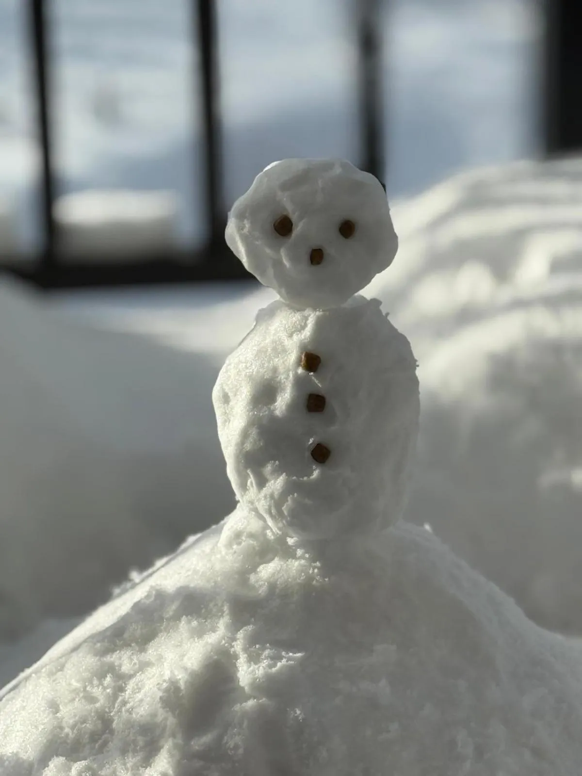 Willa u Kośle Zakopane sauna i bilard