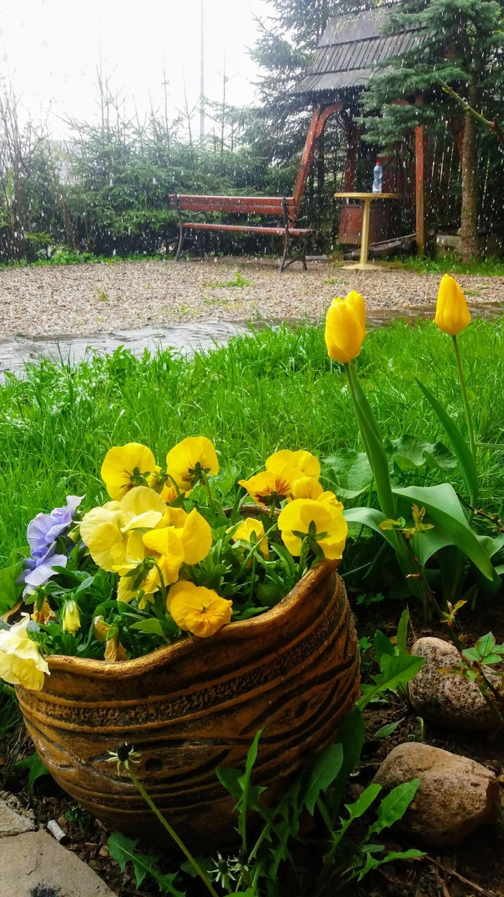 Spring in Willa u Kośle Zakopane