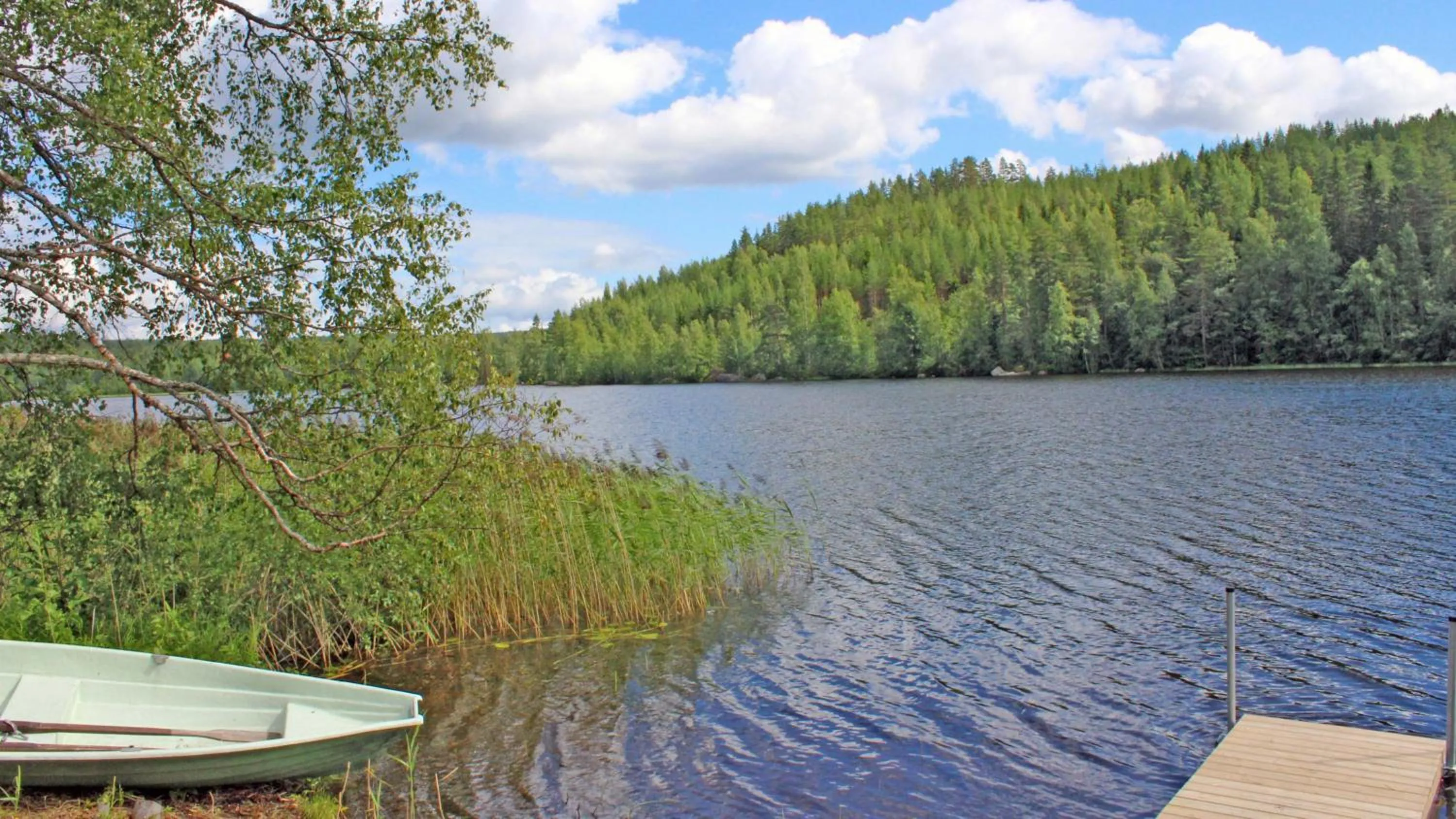 Natural landscape in Vanha Koulu