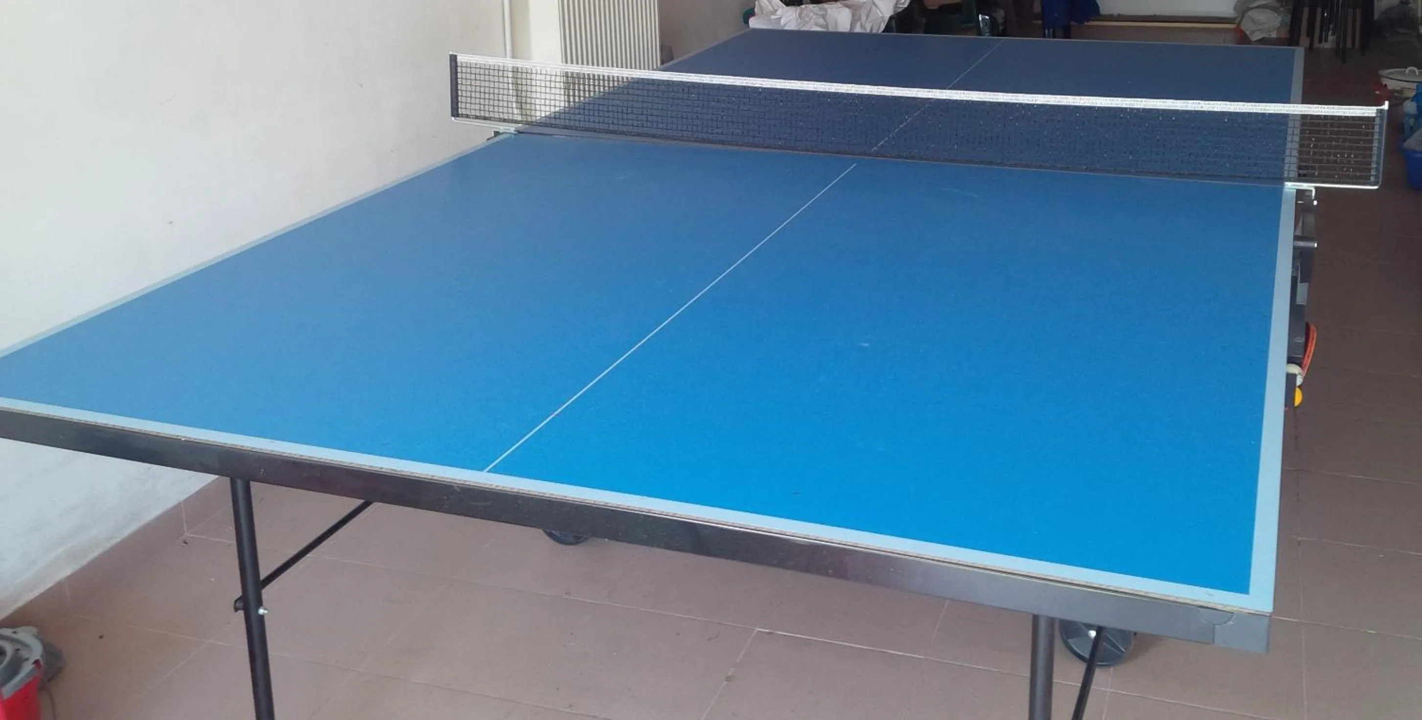 Table tennis in Homy family house