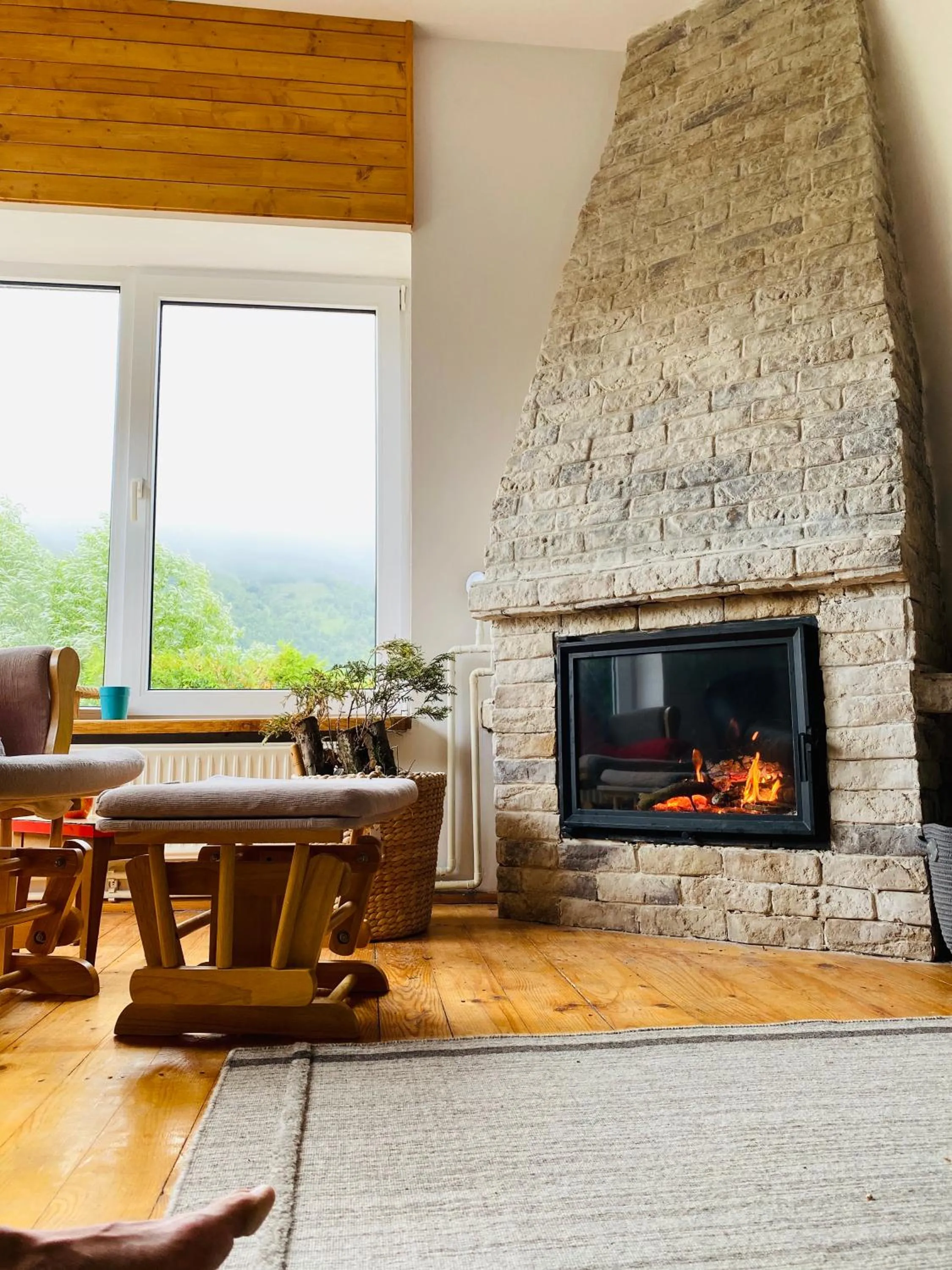 Living room in Homy family house