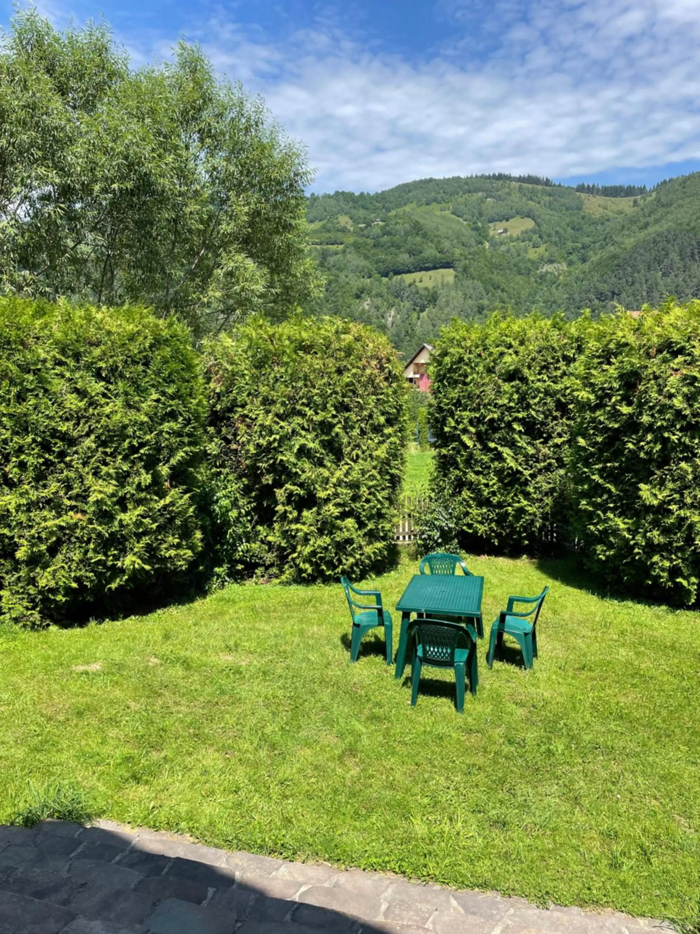 Natural landscape in Homy family house