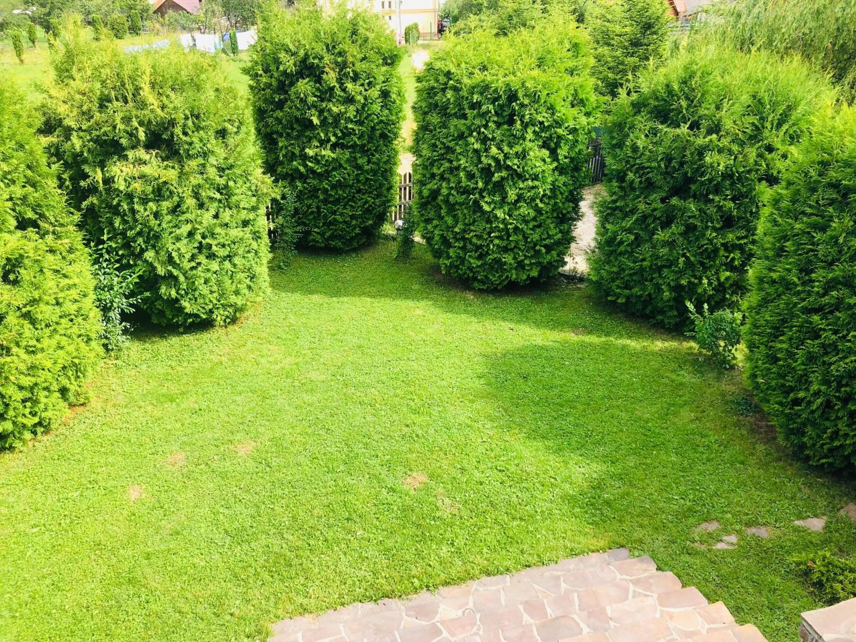 Garden in Homy family house