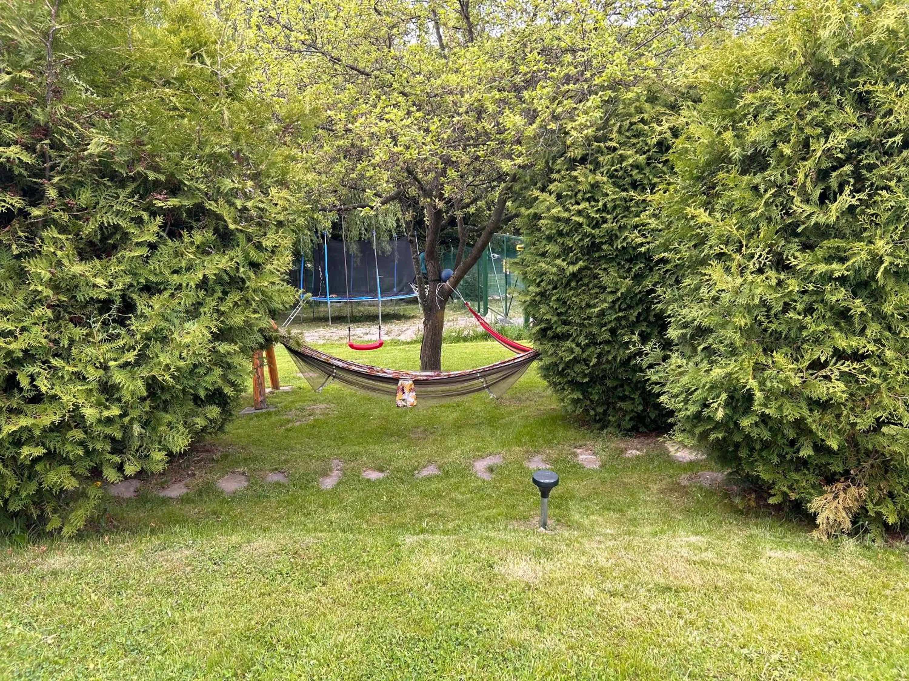 Garden in Homy family house