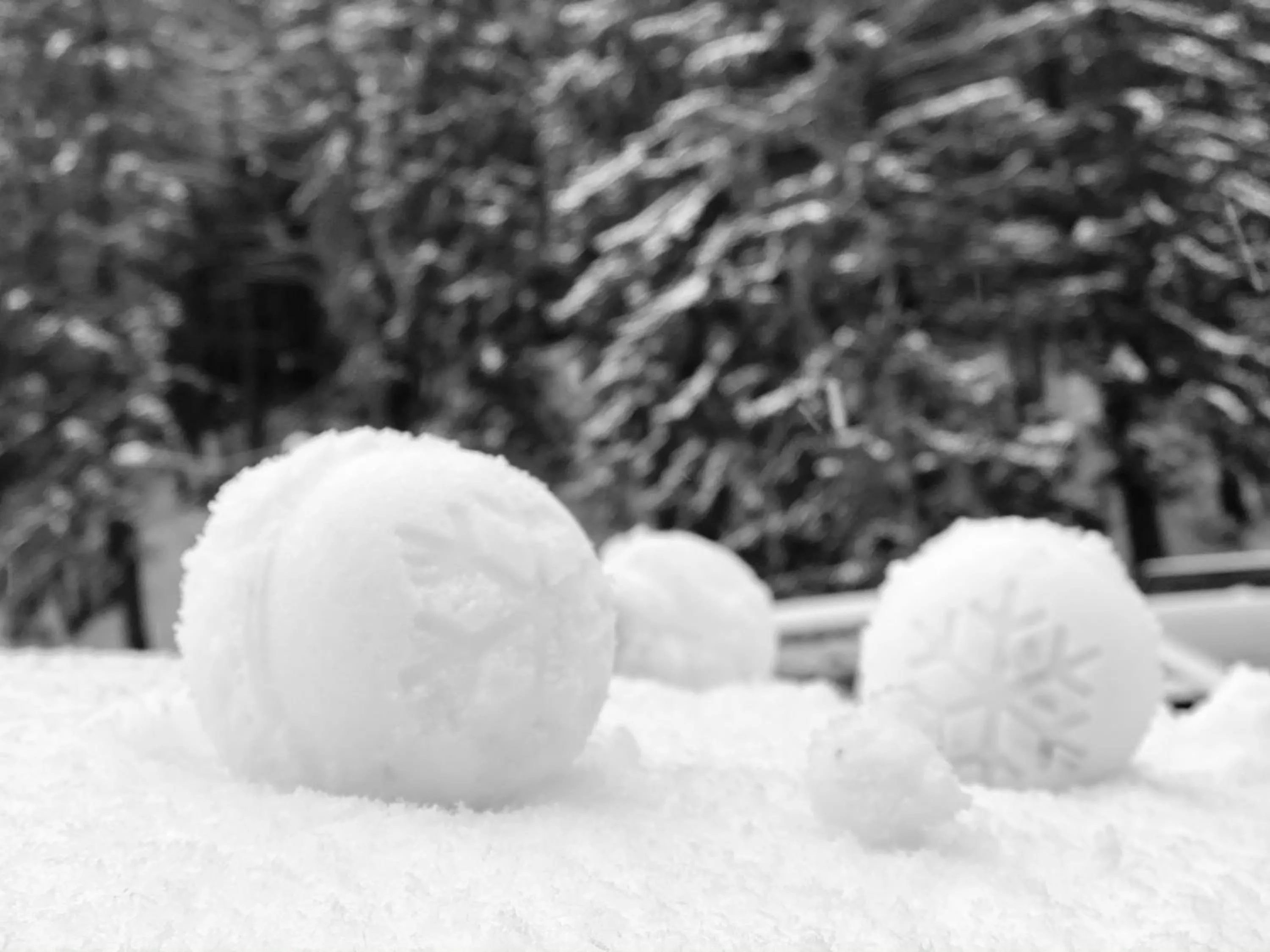 Winter in Homy family house