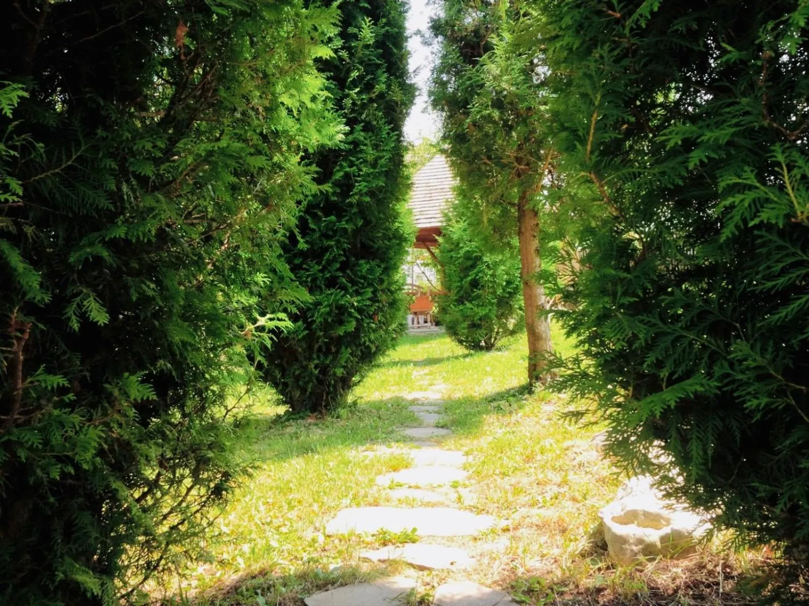 Garden in Homy family house
