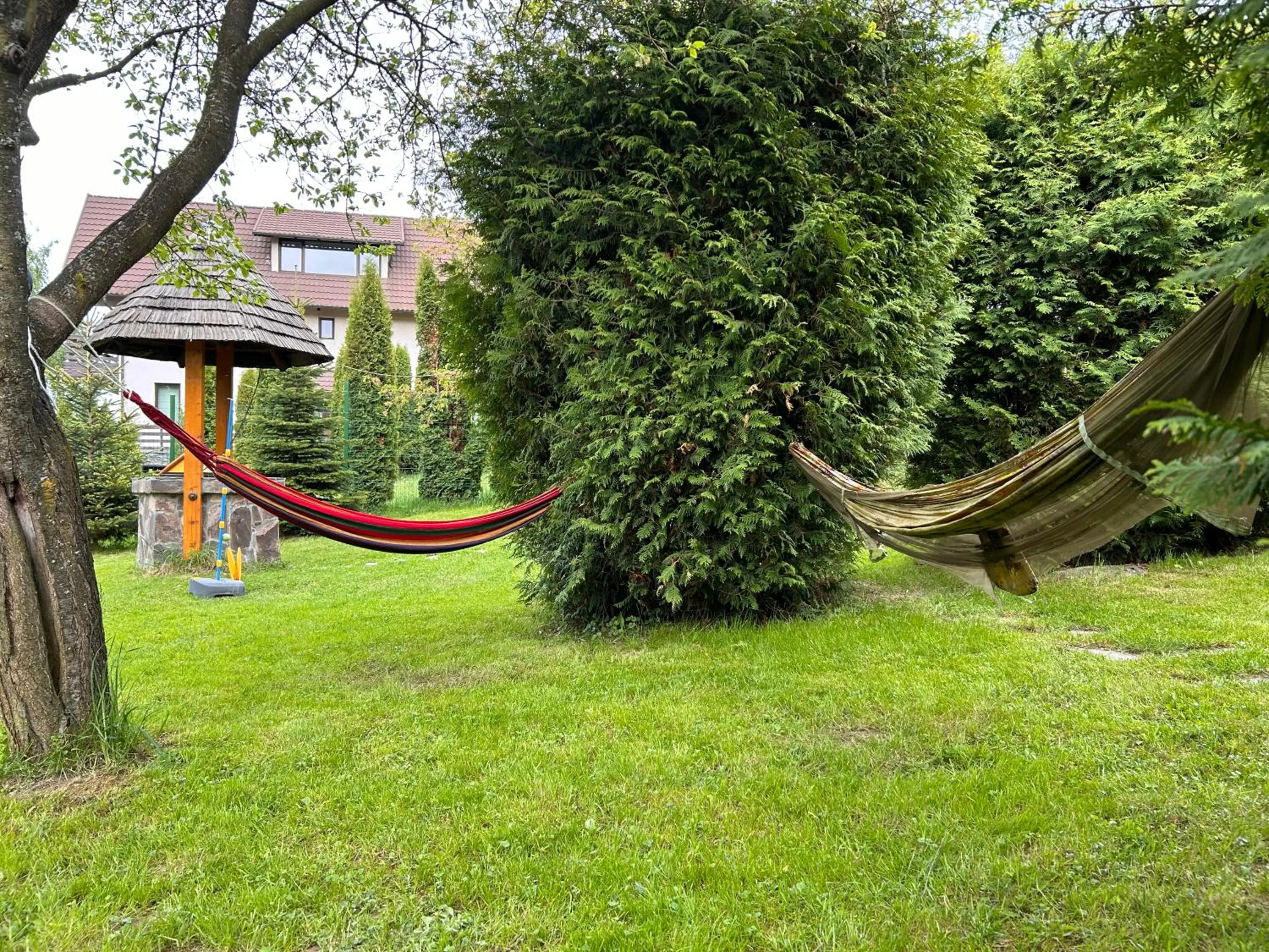 Garden in Homy family house