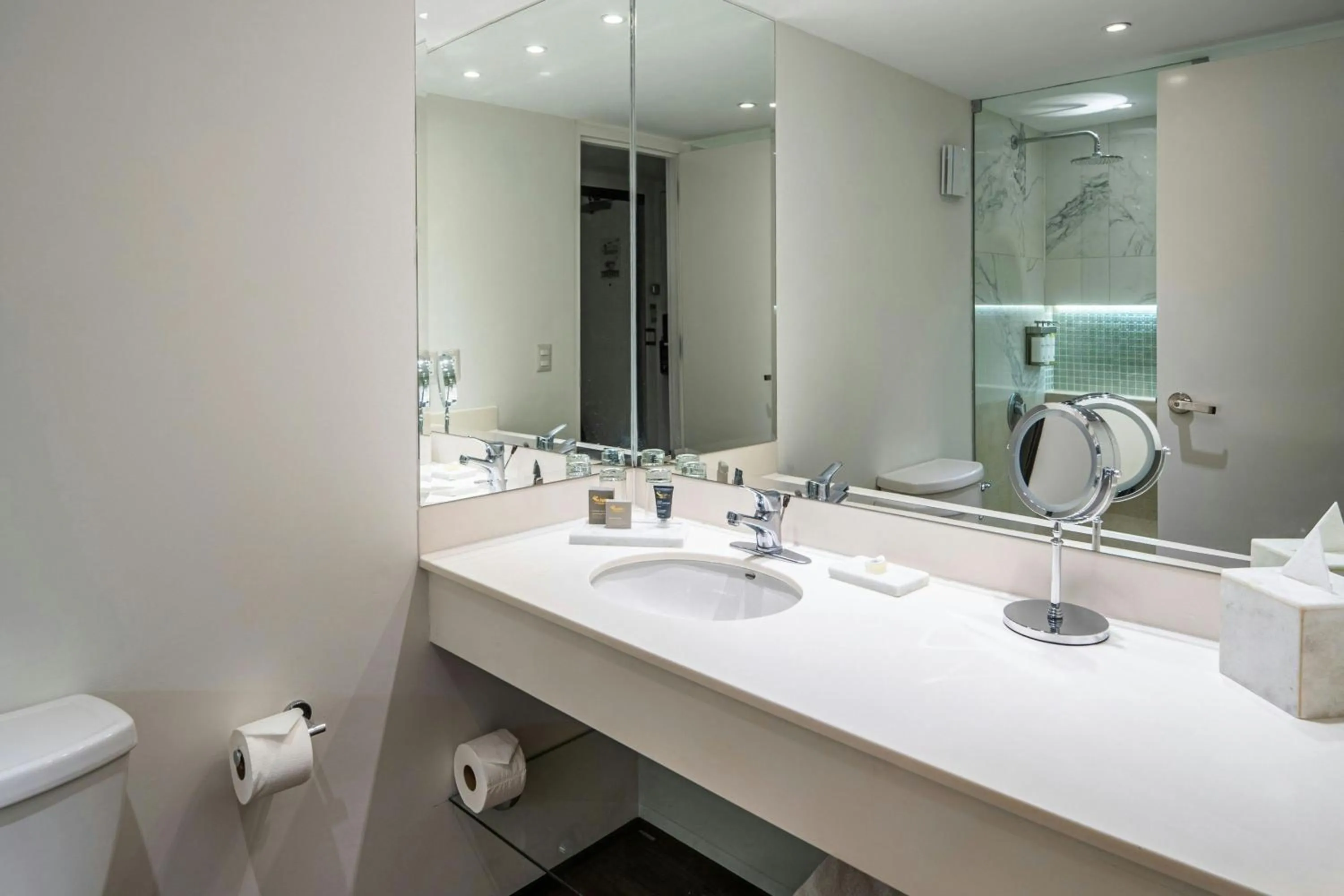 Bathroom in Los Tajibos, Santa Cruz de la Sierra, a Tribute Portfolio Hotel