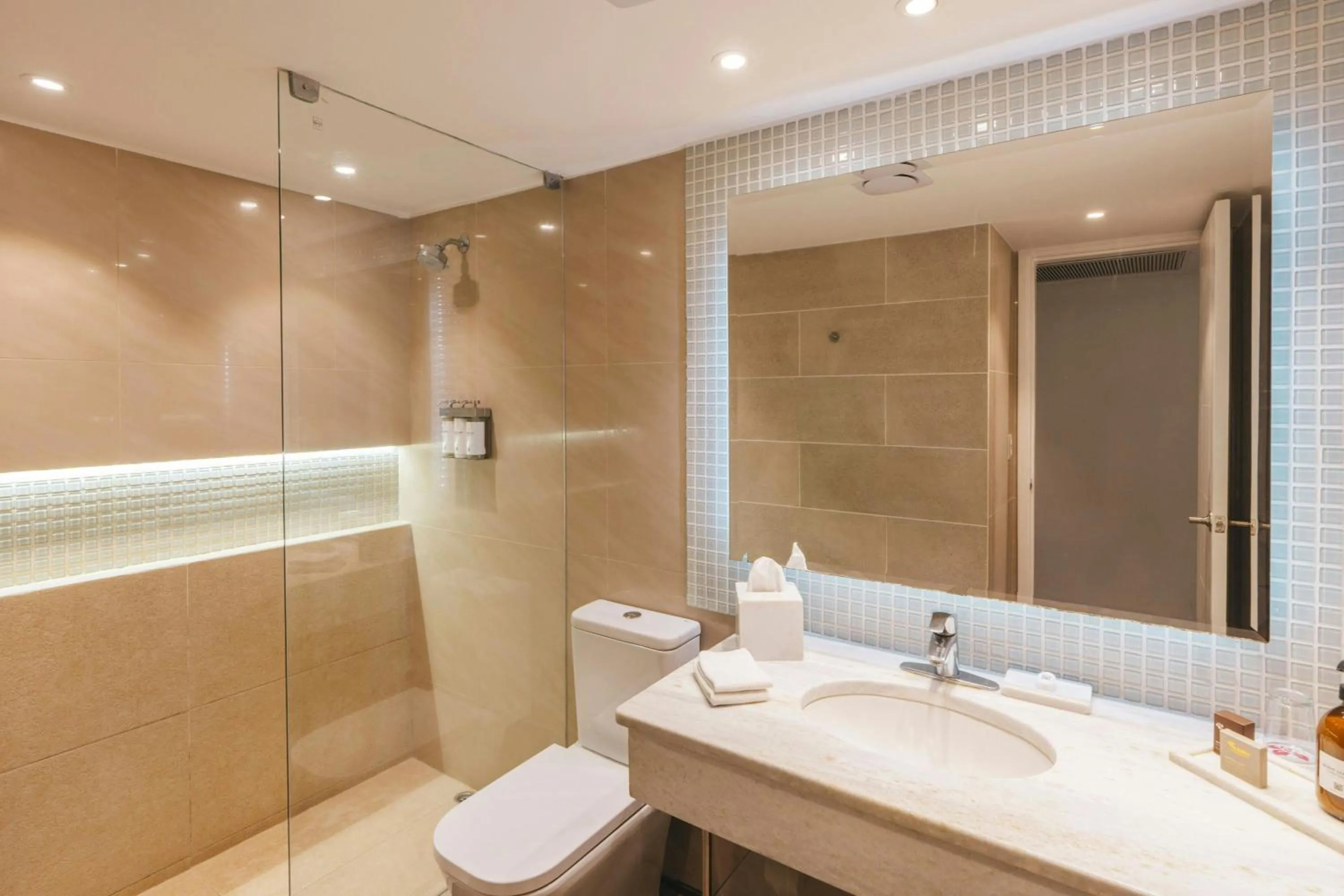 Bathroom in Los Tajibos, Santa Cruz de la Sierra, a Tribute Portfolio Hotel