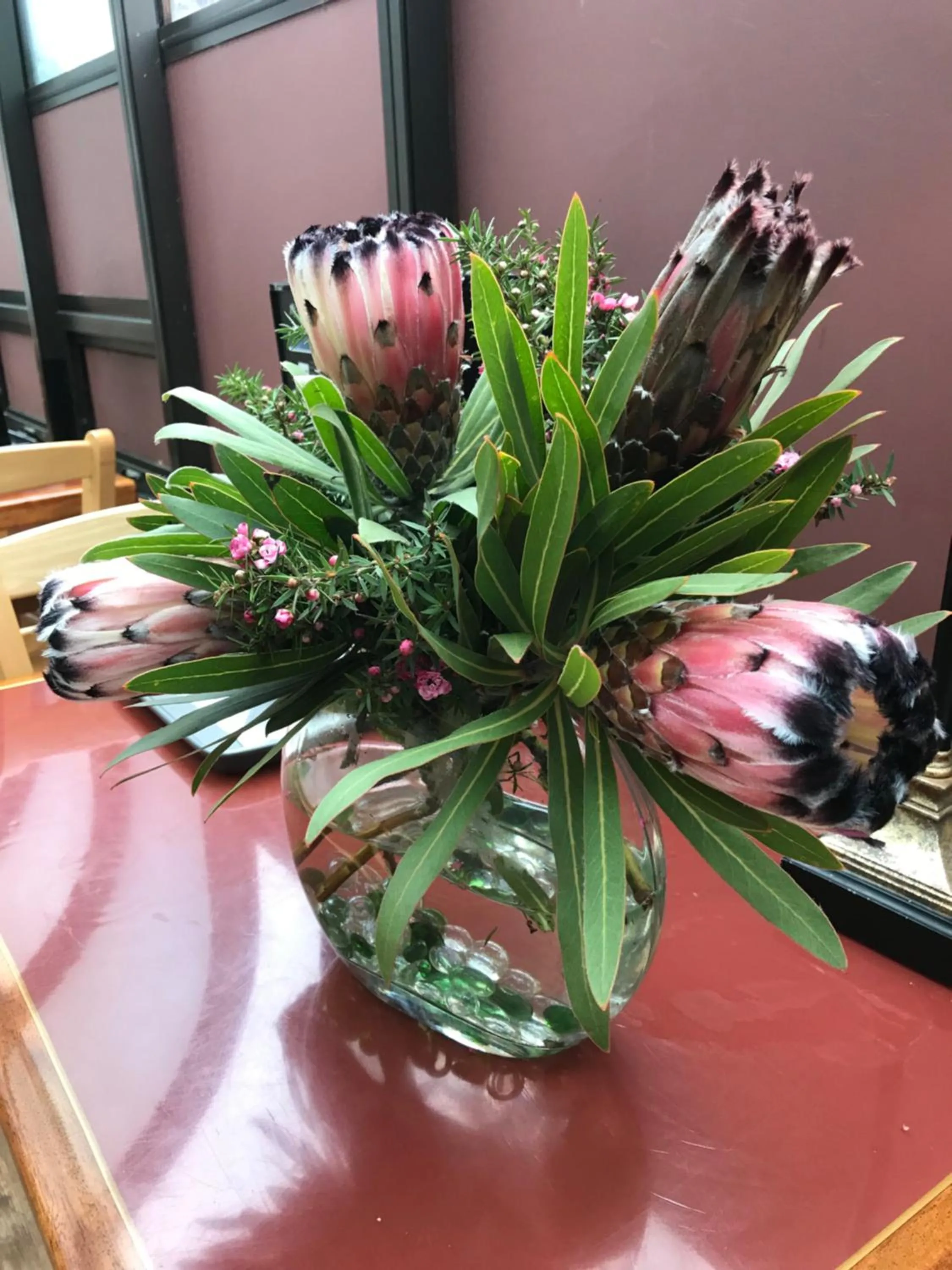 Garden in Bodega Bay Inn