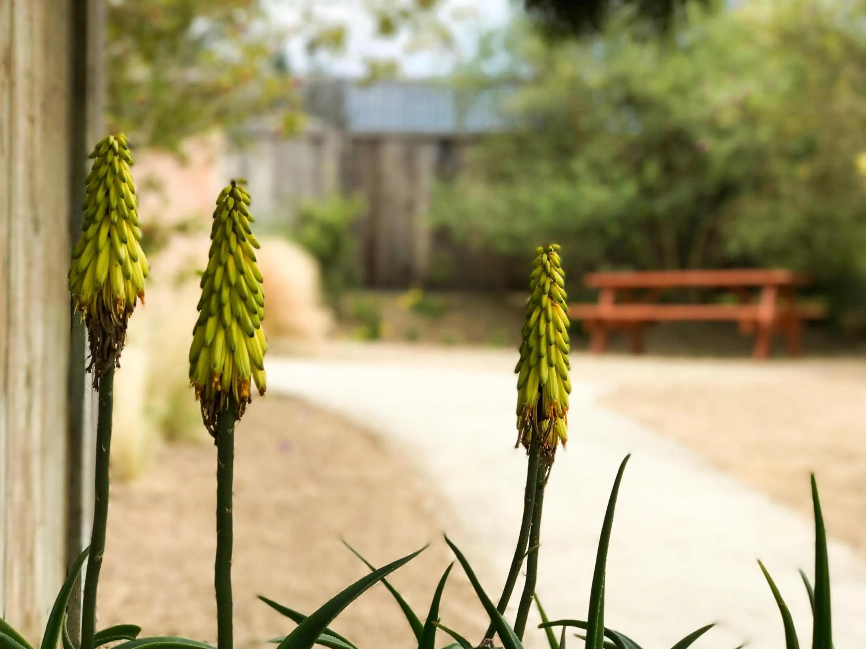 Facade/entrance in Bodega Bay Inn