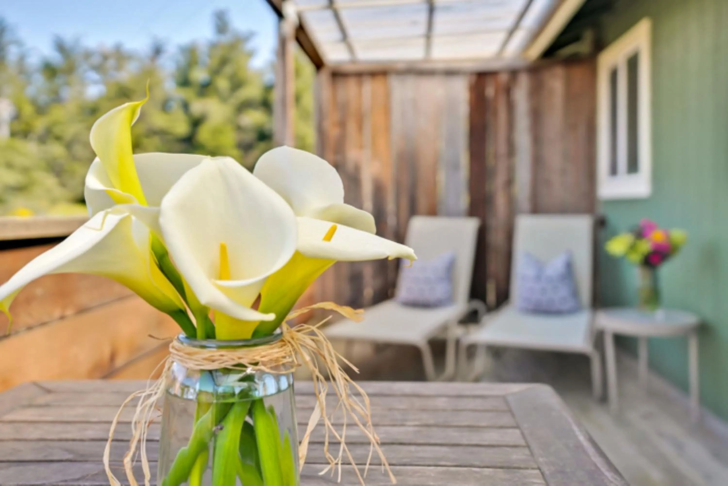 sunbed in Bodega Bay Inn