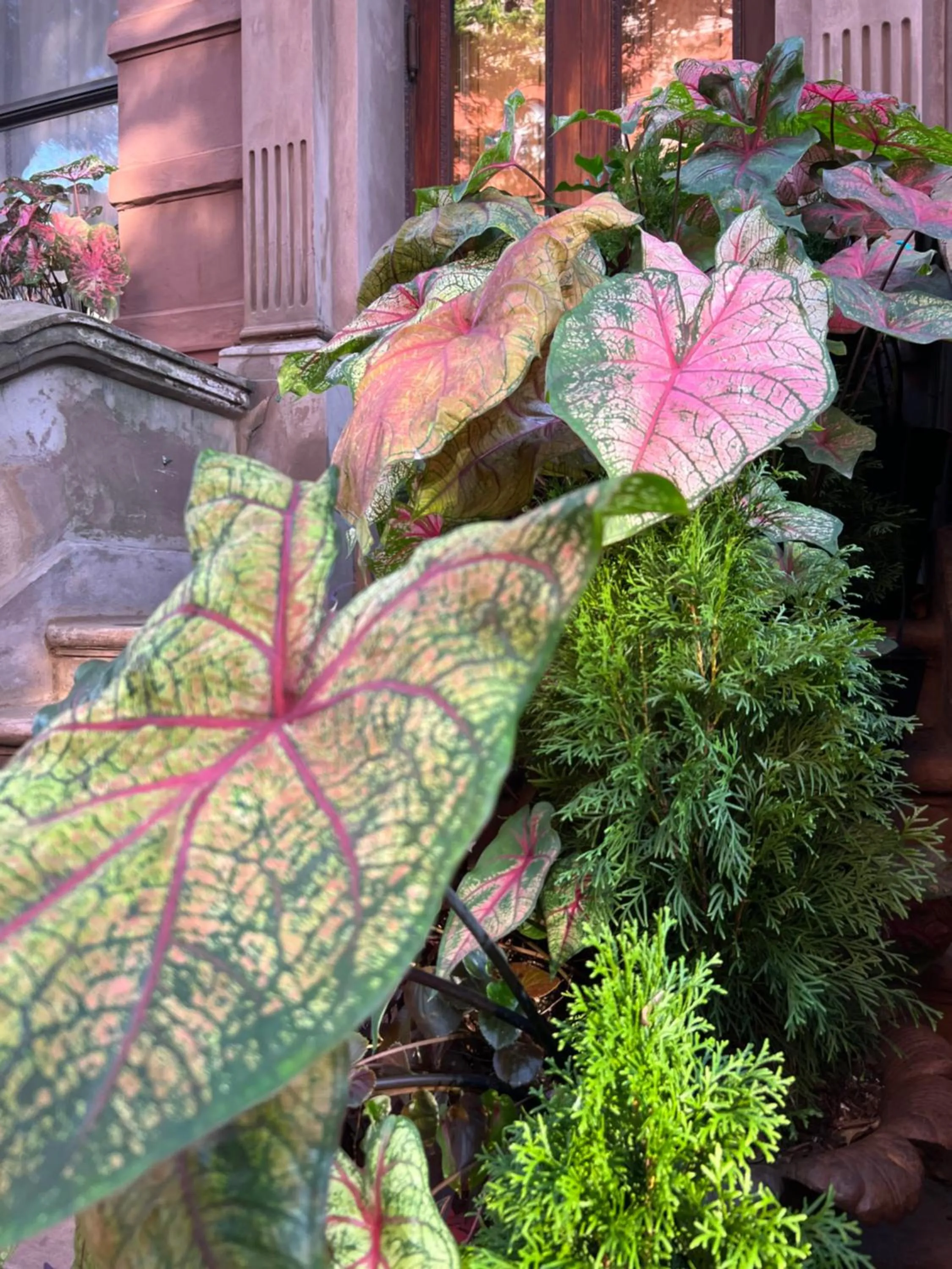 Facade/entrance in Soul Food 'Mont Morris'