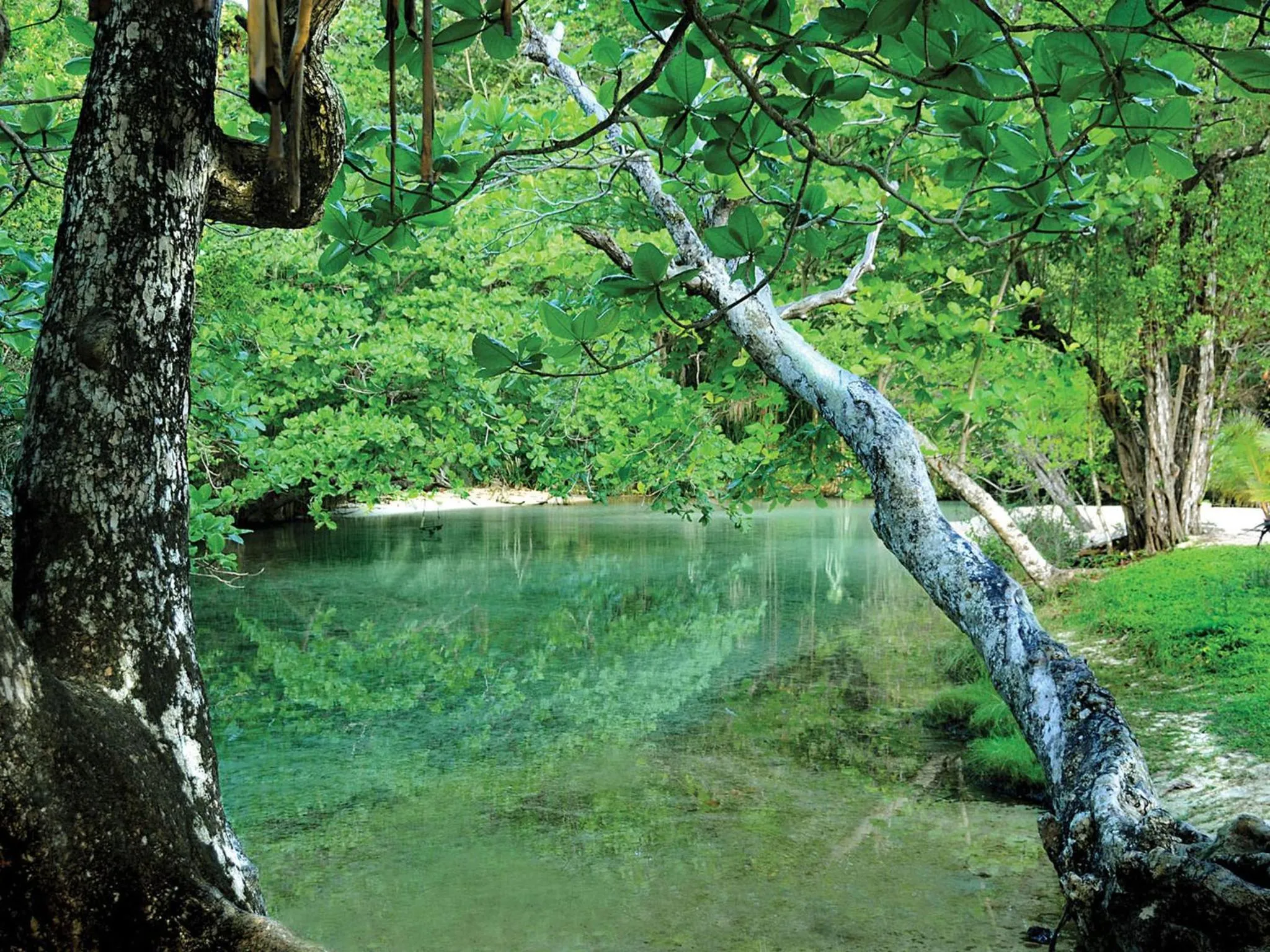 Area and facilities in The Trident Hotel