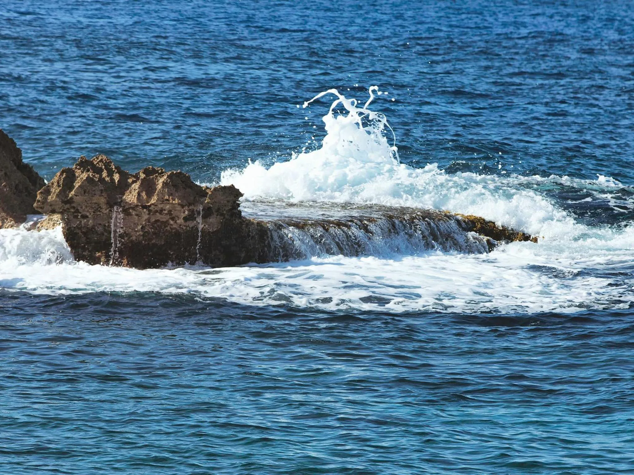 View (from property/room) in The Trident Hotel