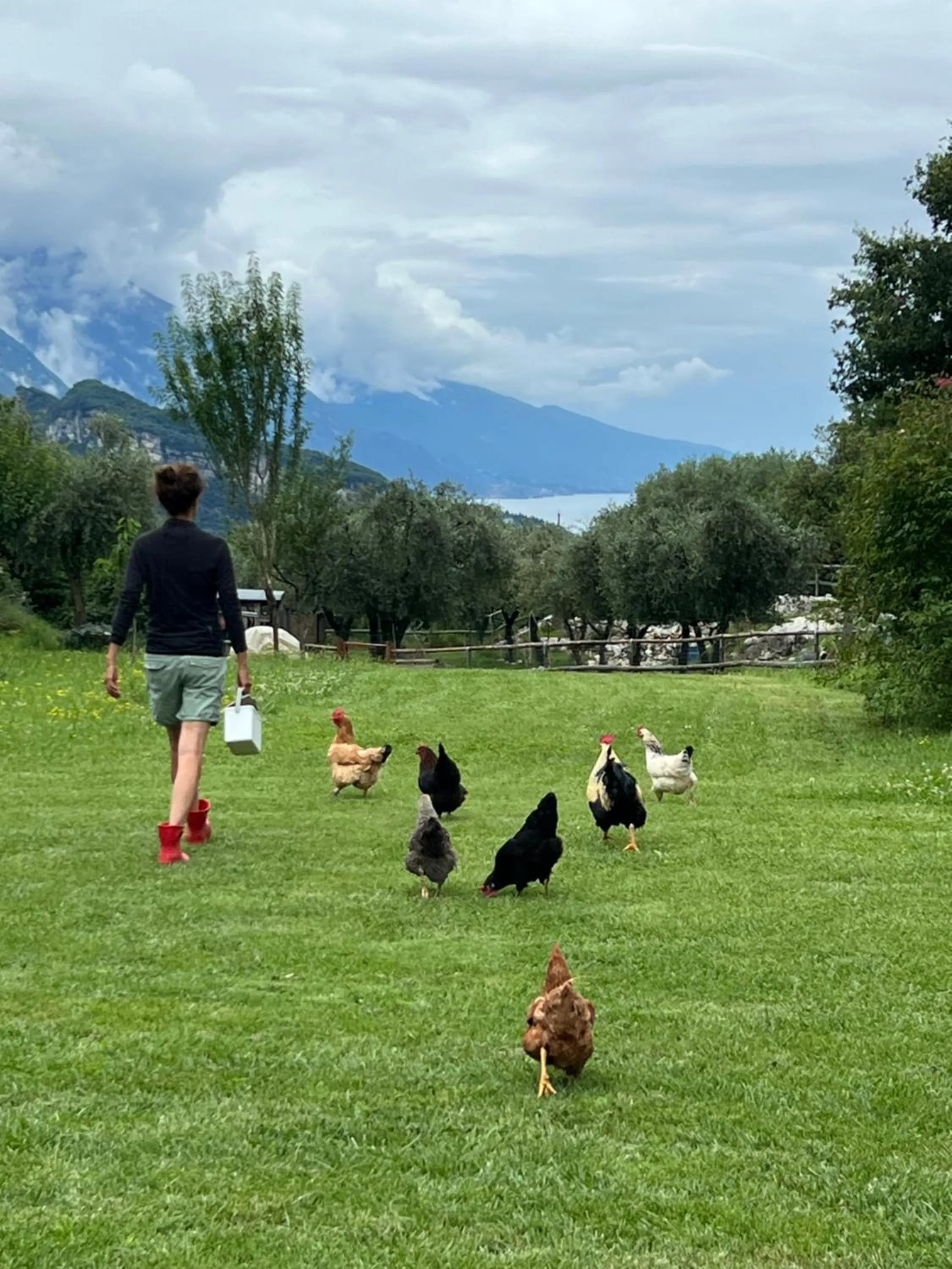 Animals in Da La Babi B&B