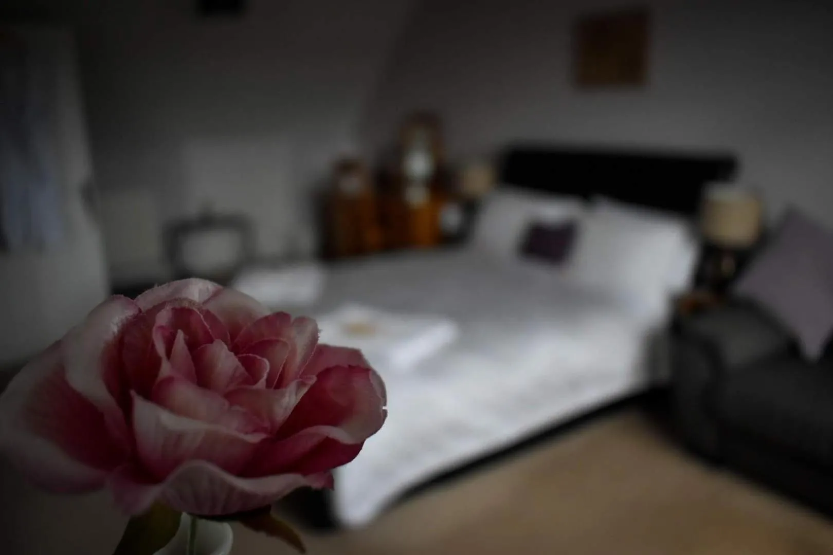 Bed in TLC Exmouth Bed and Breakfast