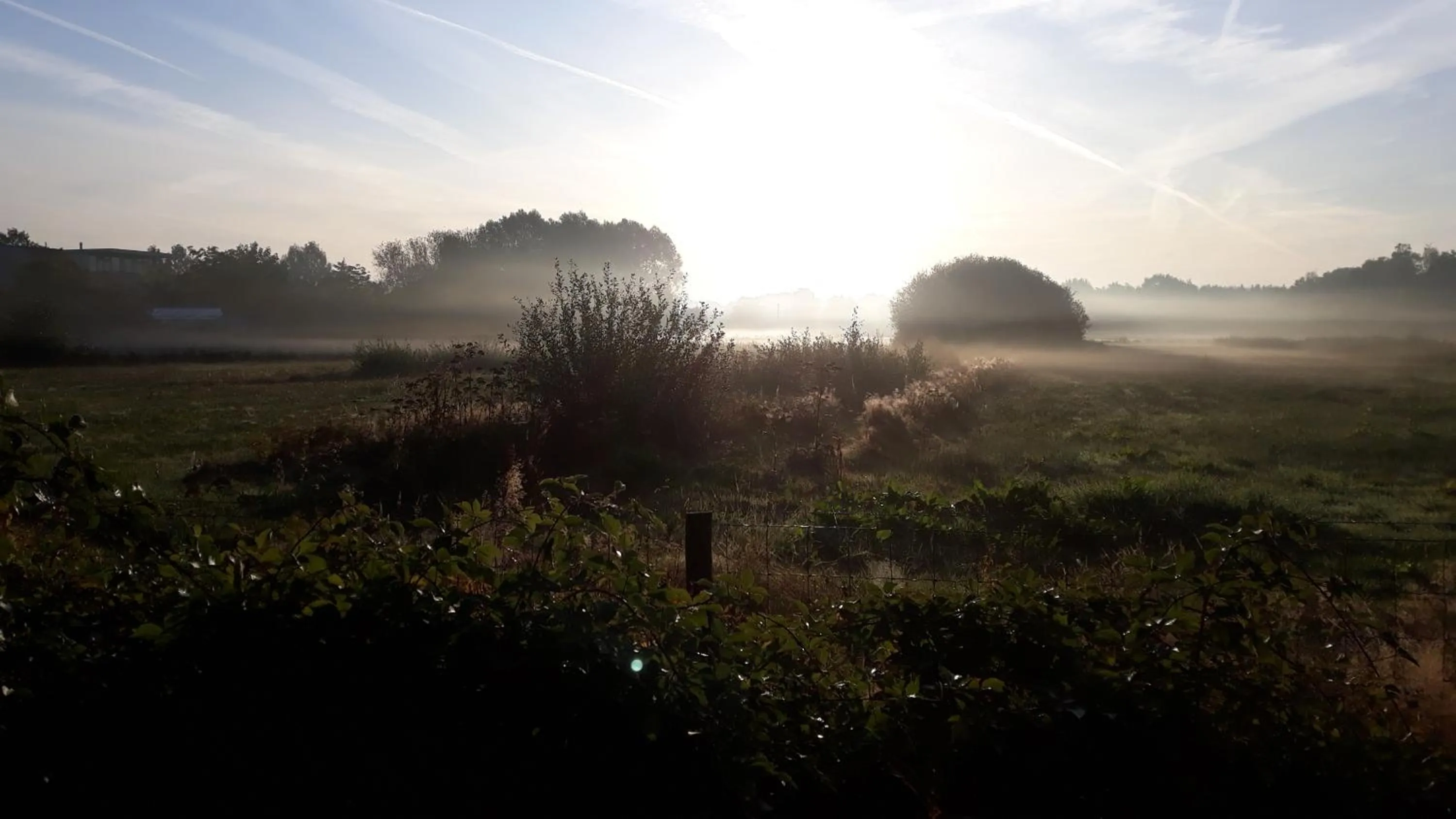 Natural landscape in De Heidestroper