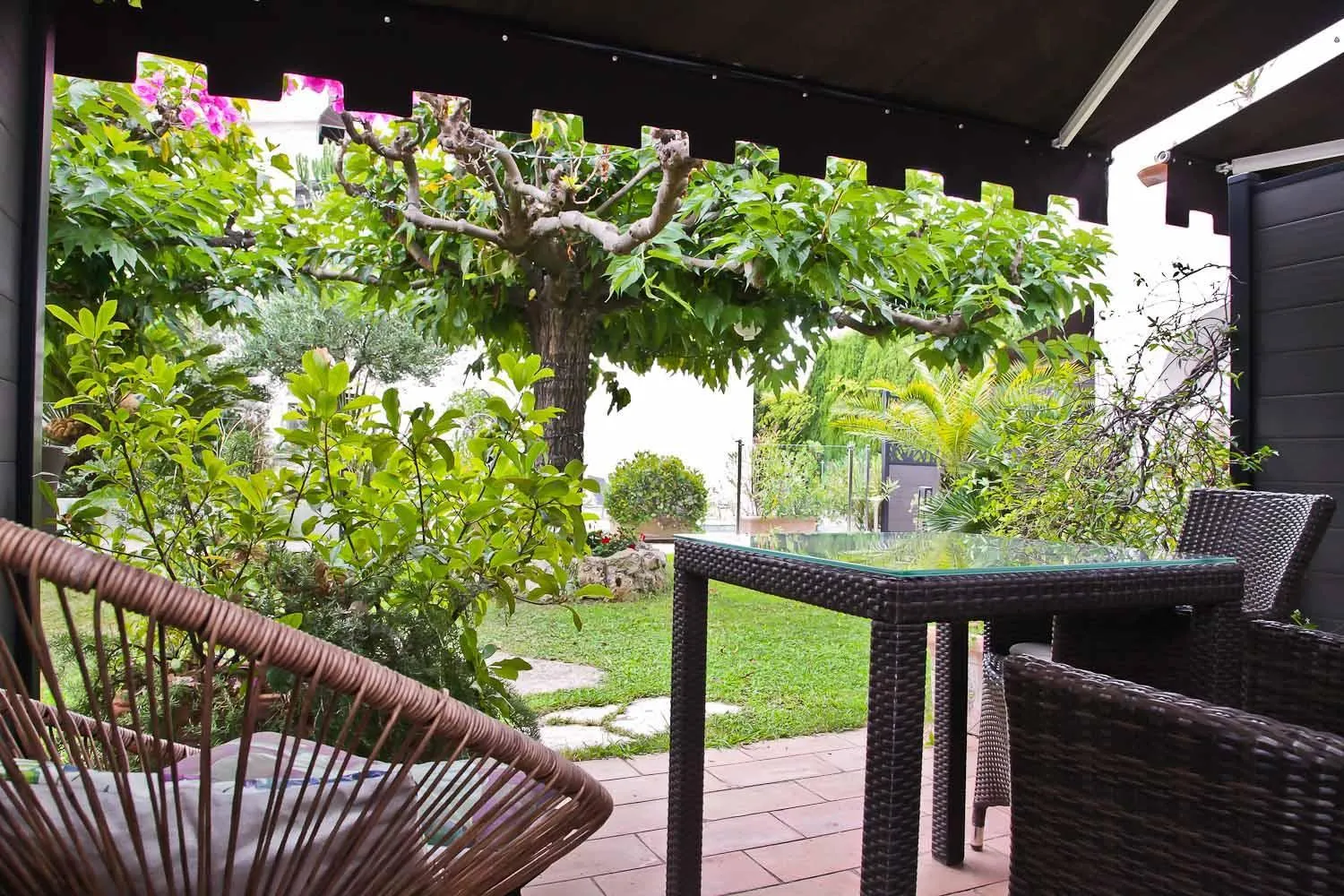 Garden in Hôtel La Villa Cannes