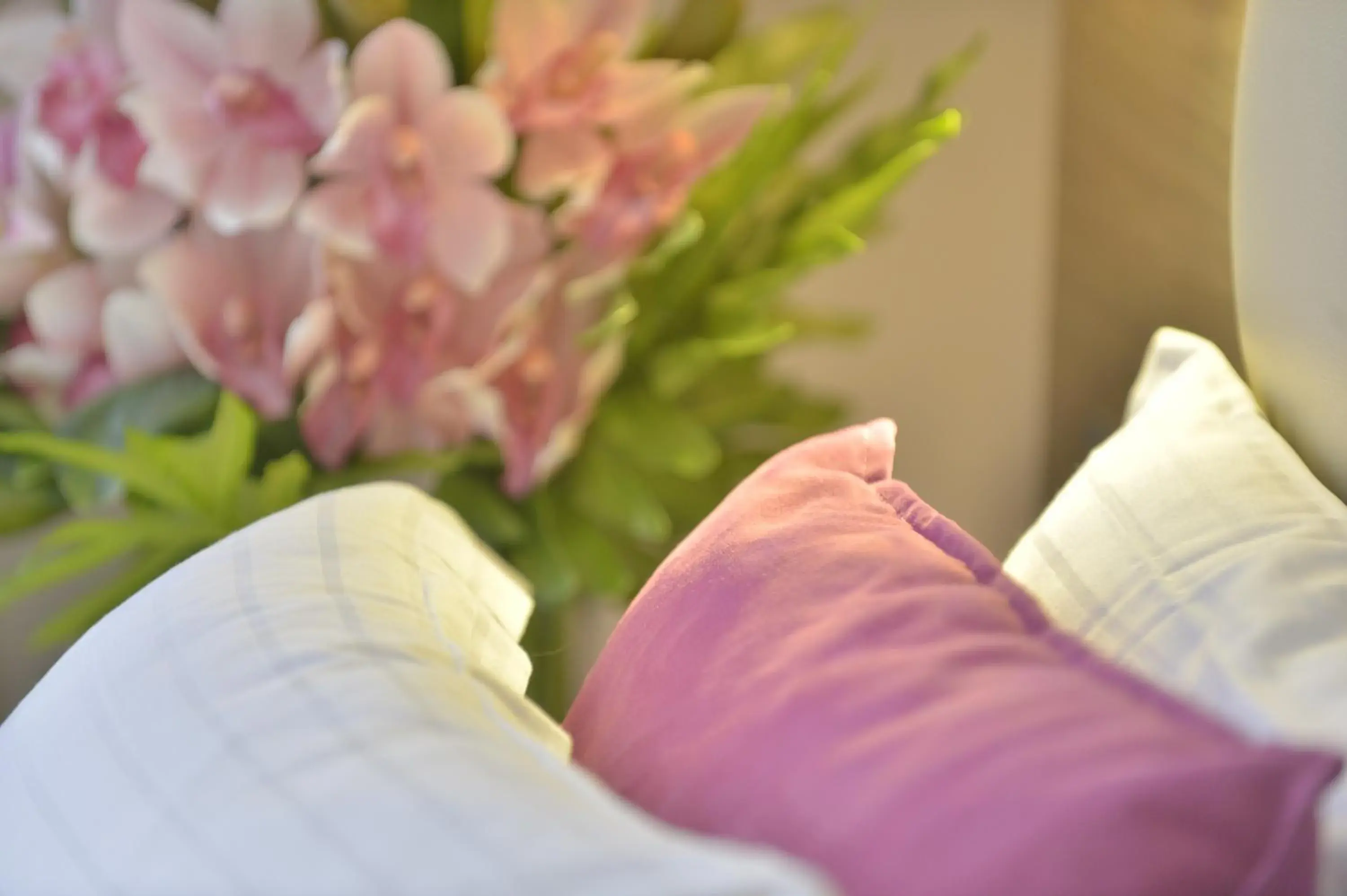 Unic Renoir Saint Germain Unic Renoir Saint Germain