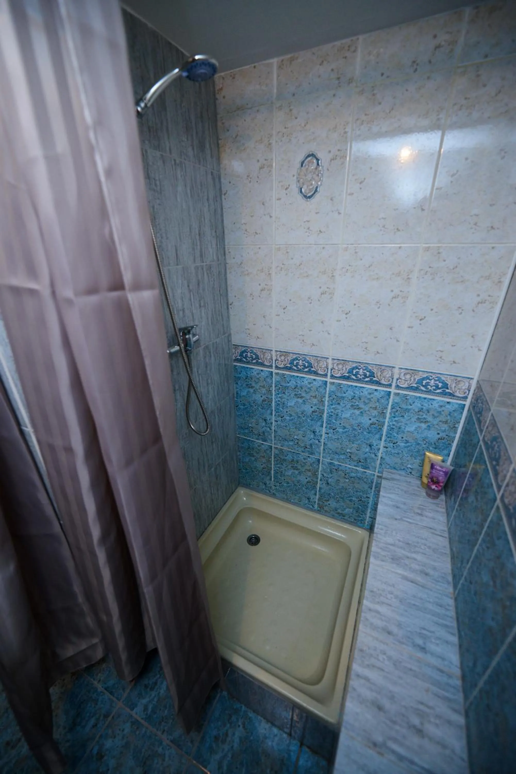 Shower in Wanderlust Hostel