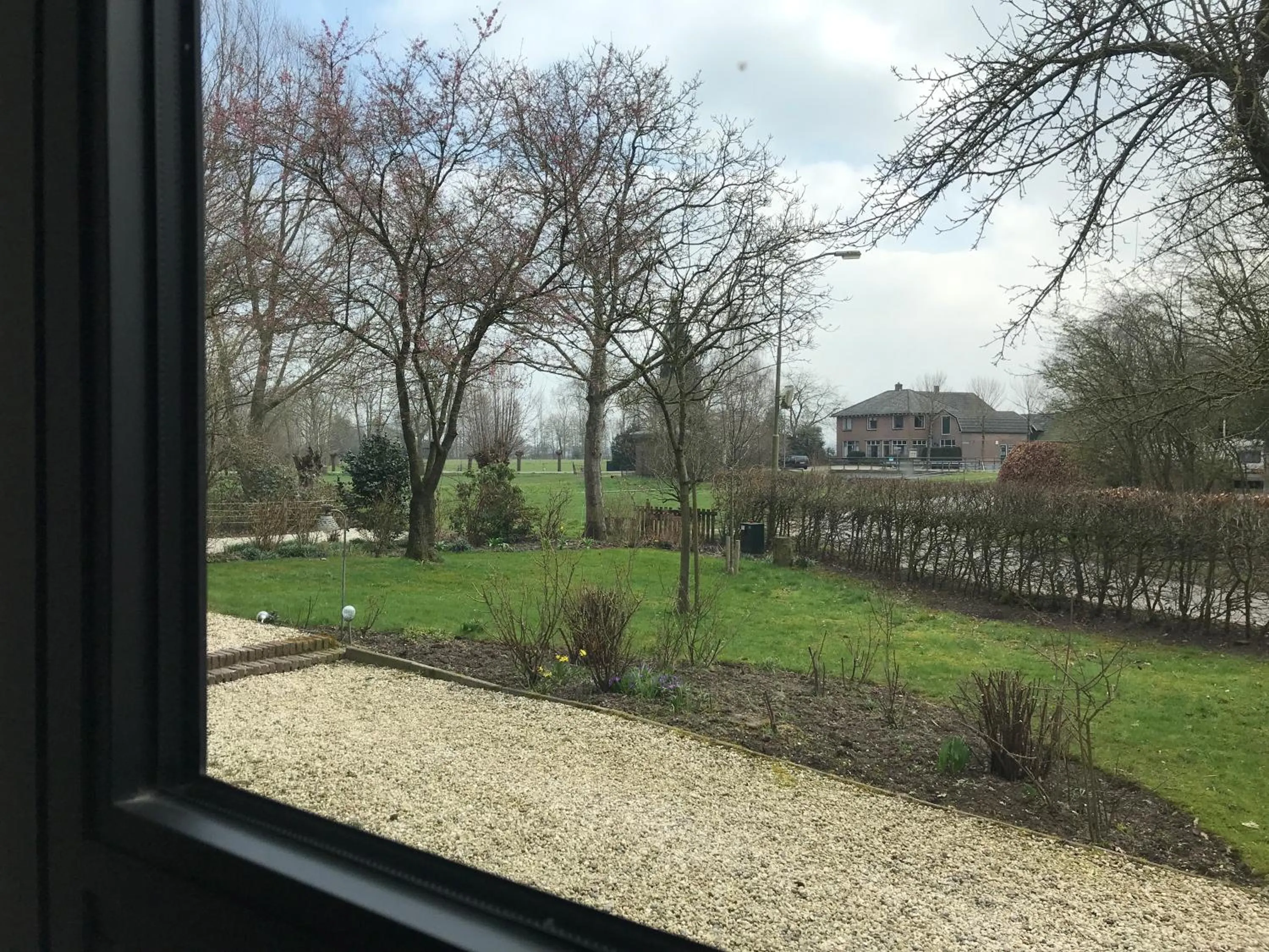 View (from property/room) in De Grote Belt
