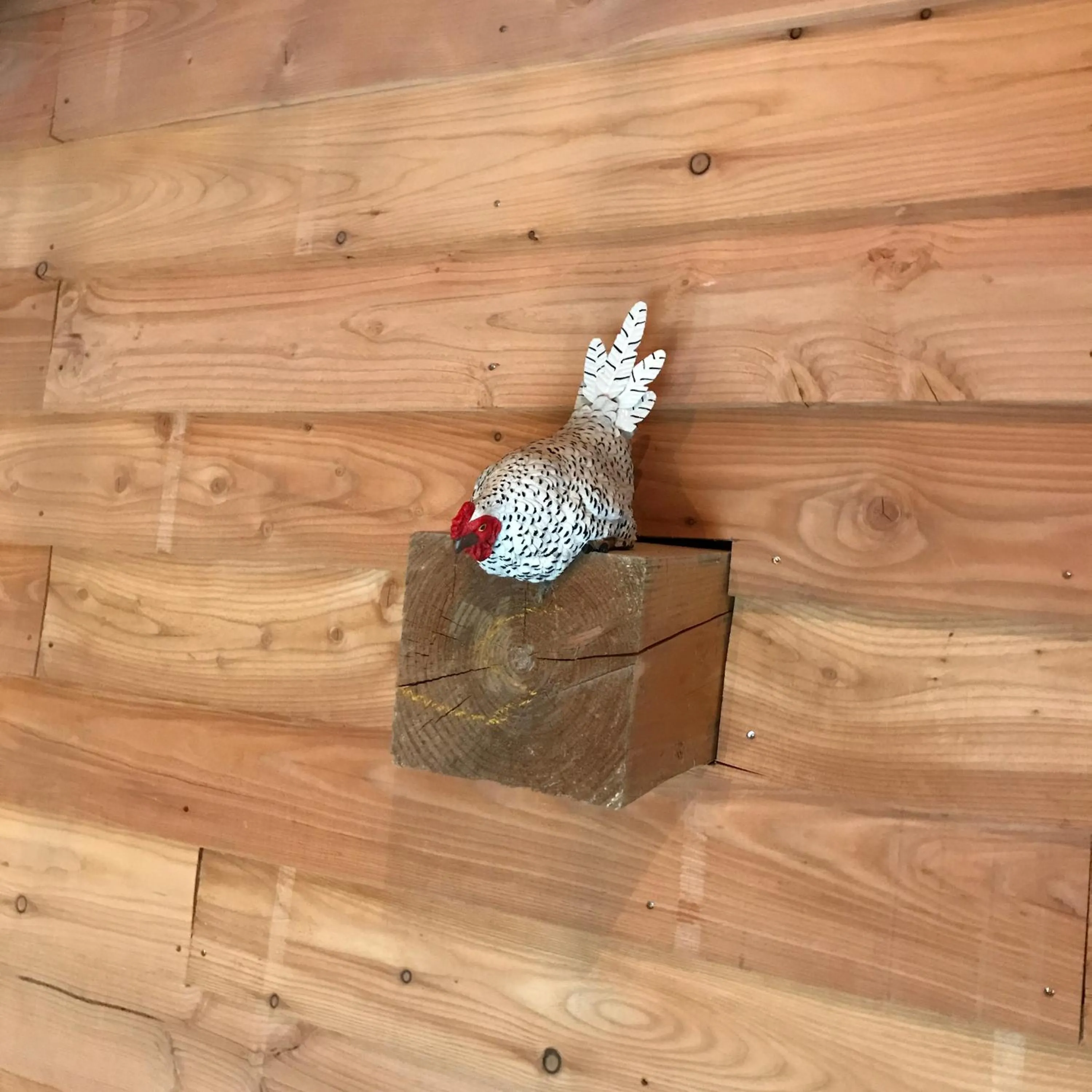 Decorative detail in De Grote Belt