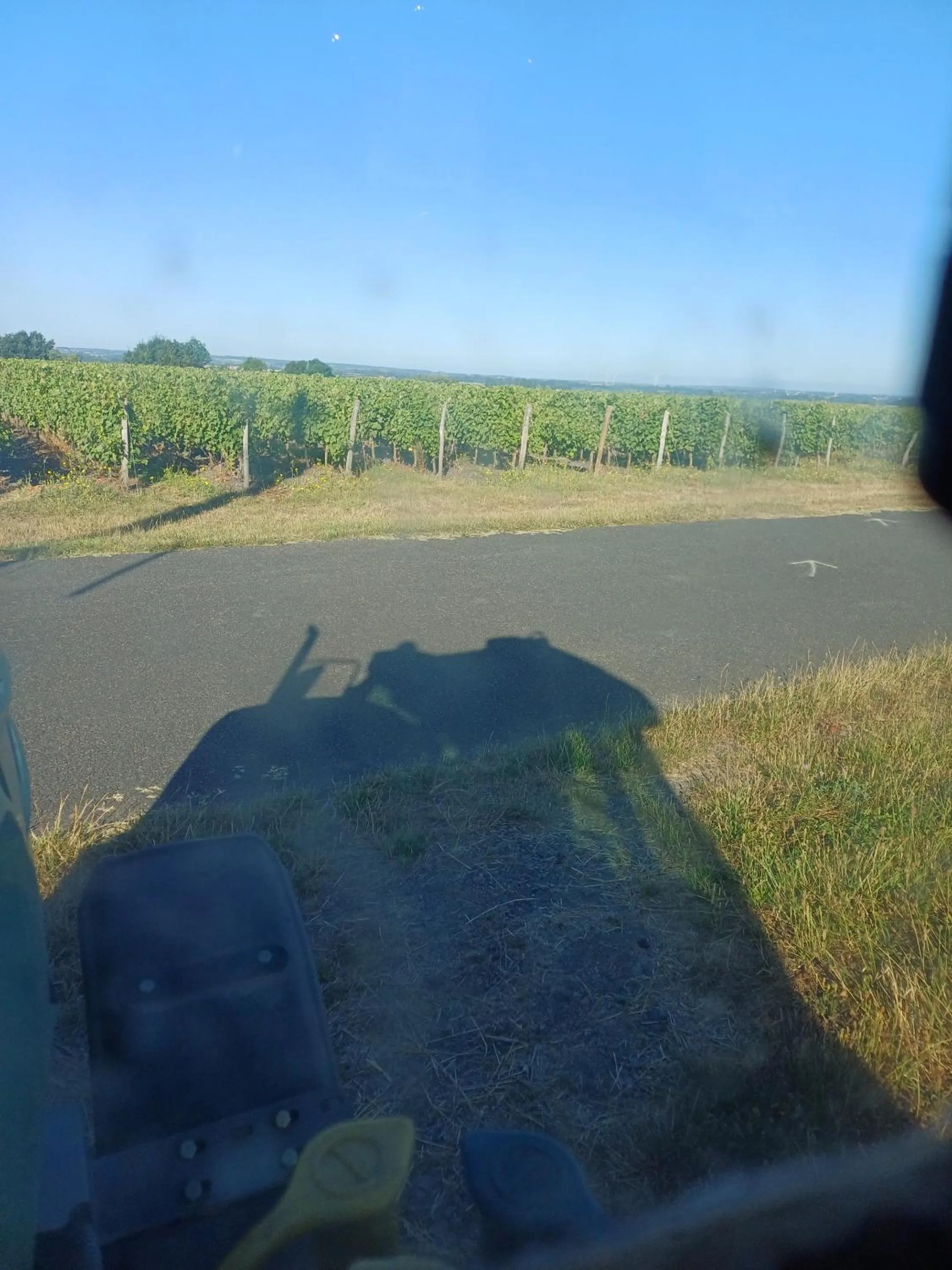 Other, Bird's-eye View in Les Bacchusiennes