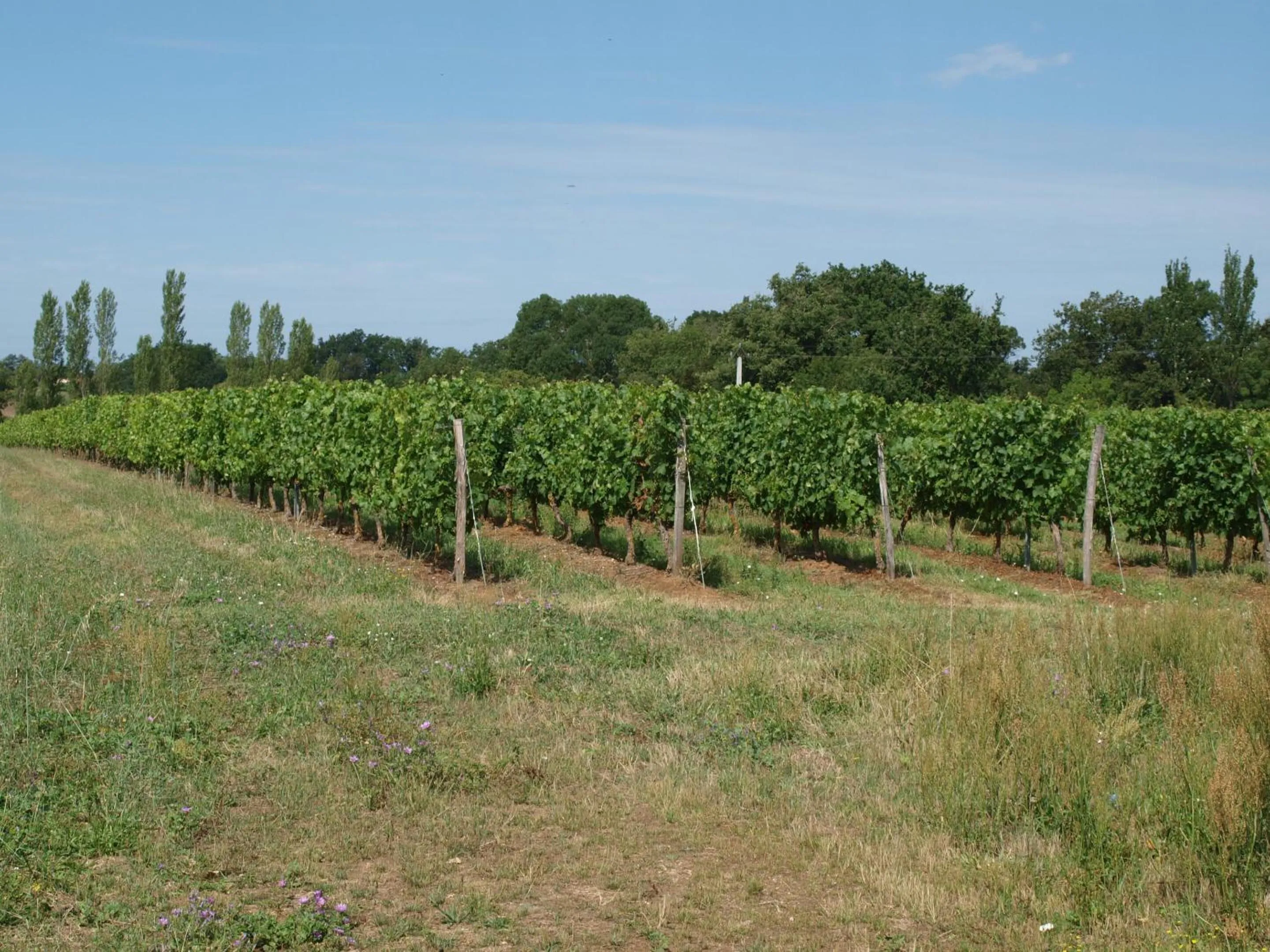 Property building in Le Logis du Livier