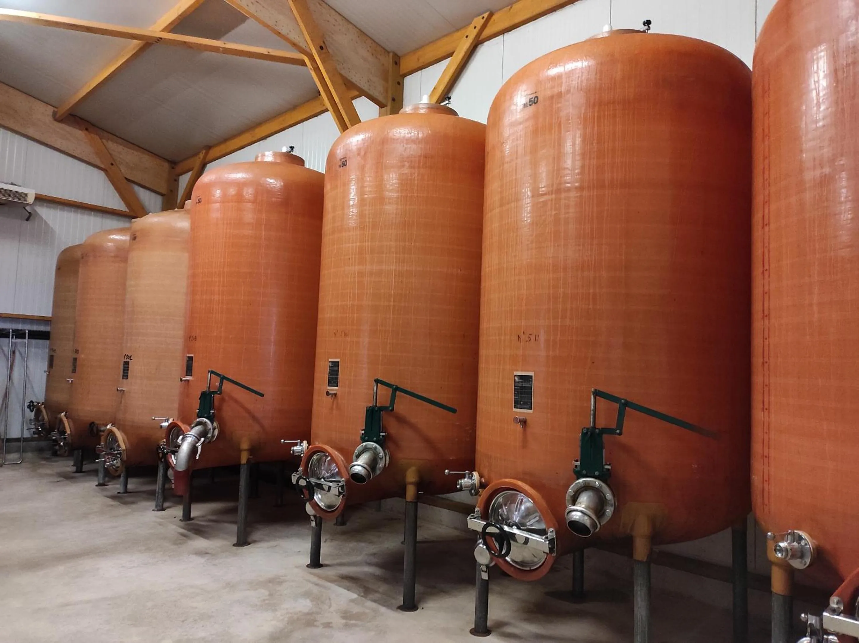 Other in Les Bacchusiennes