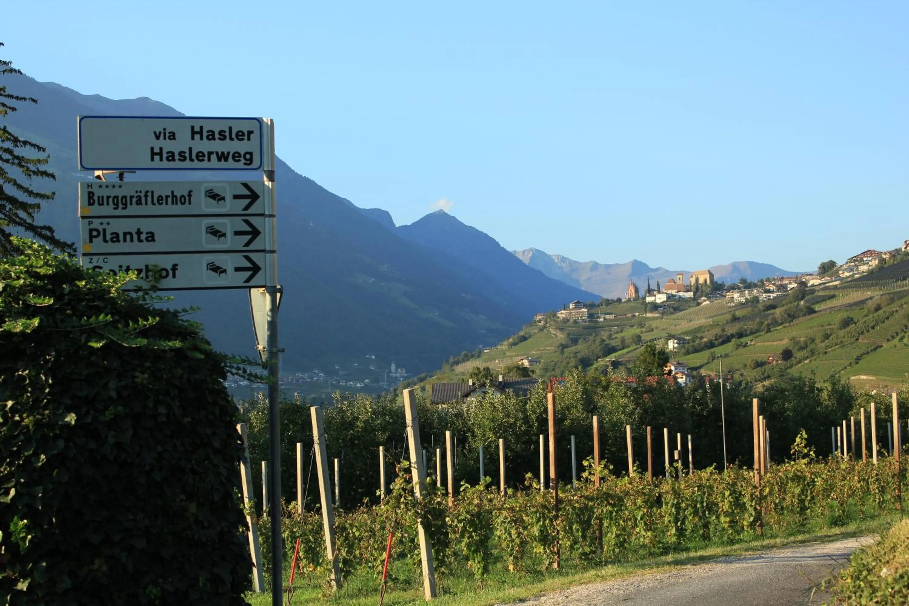 Neighbourhood in Home Suite Home Bed & Breakfast