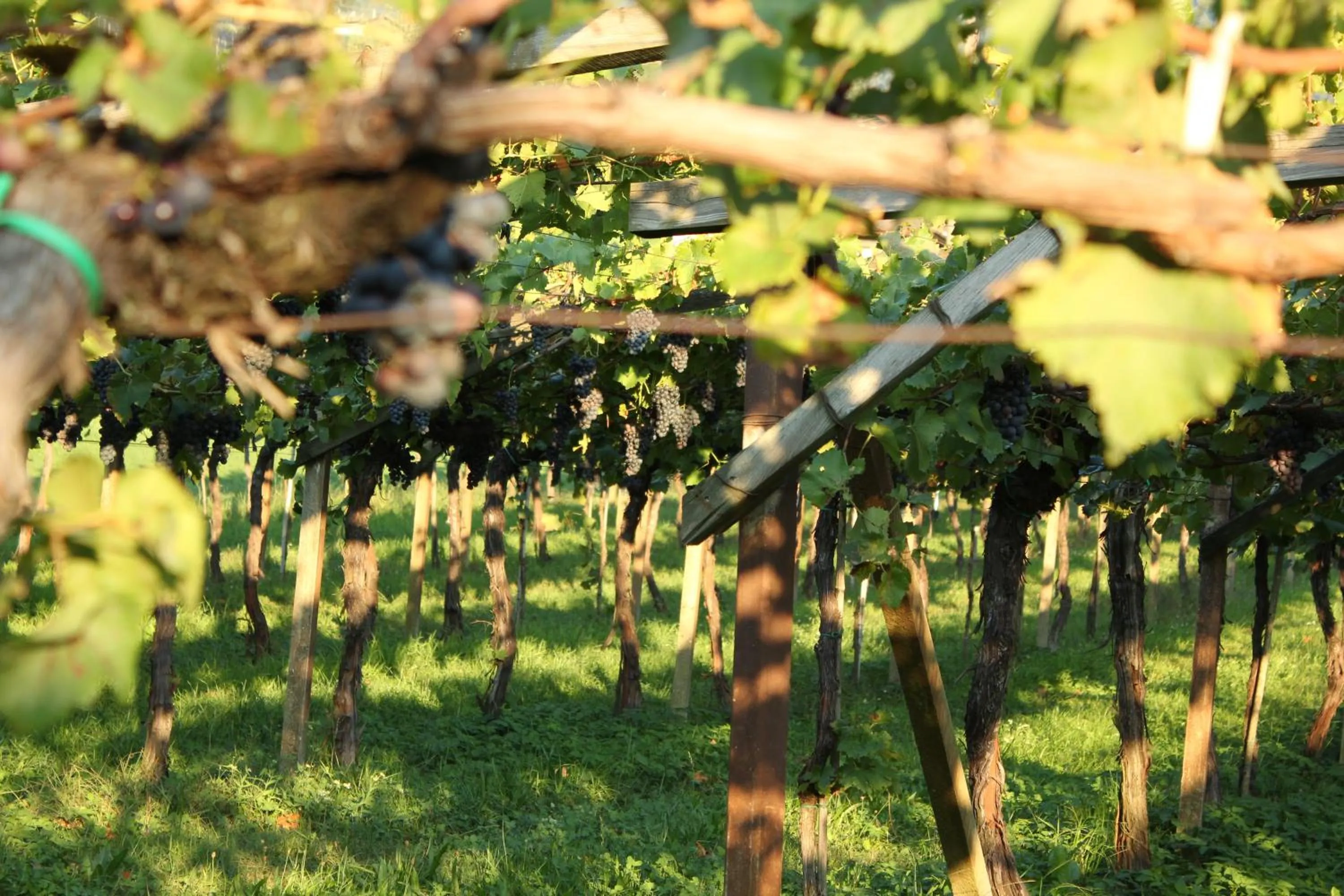 Other in Home Suite Home Bed & Breakfast