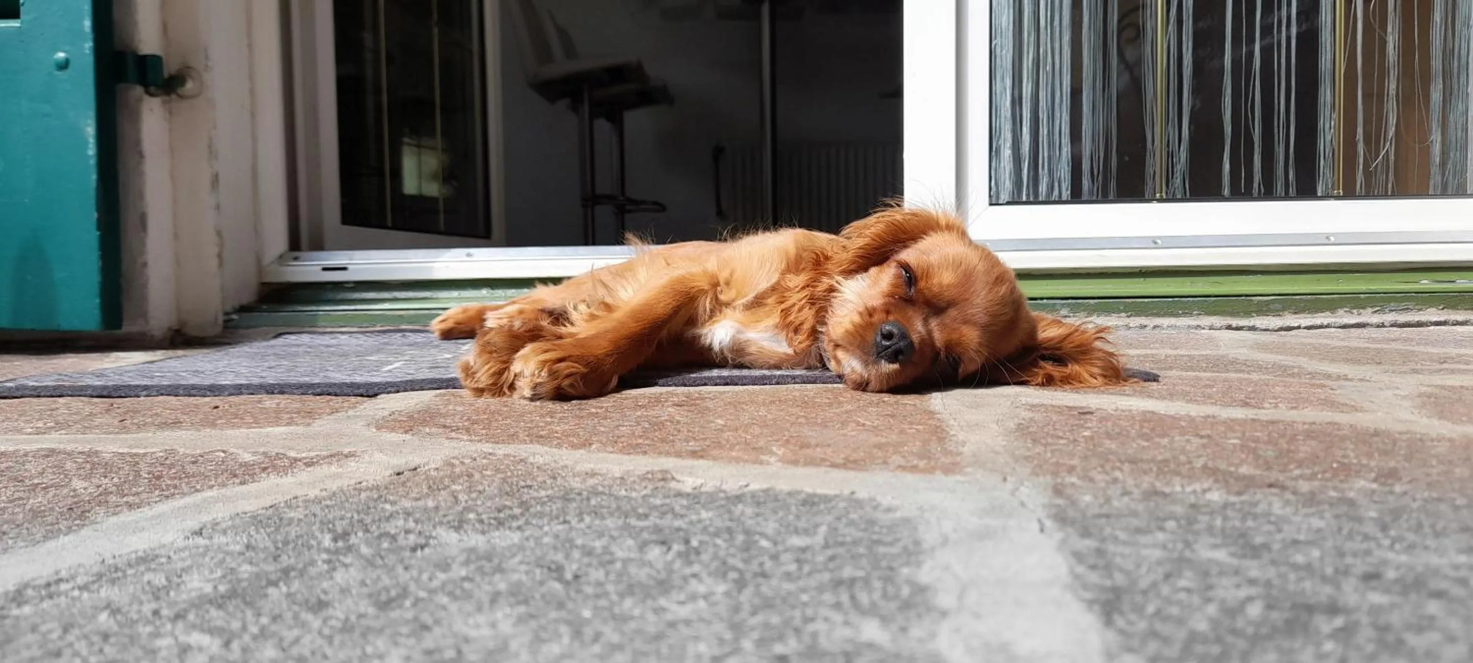 Other in Home Suite Home Bed & Breakfast