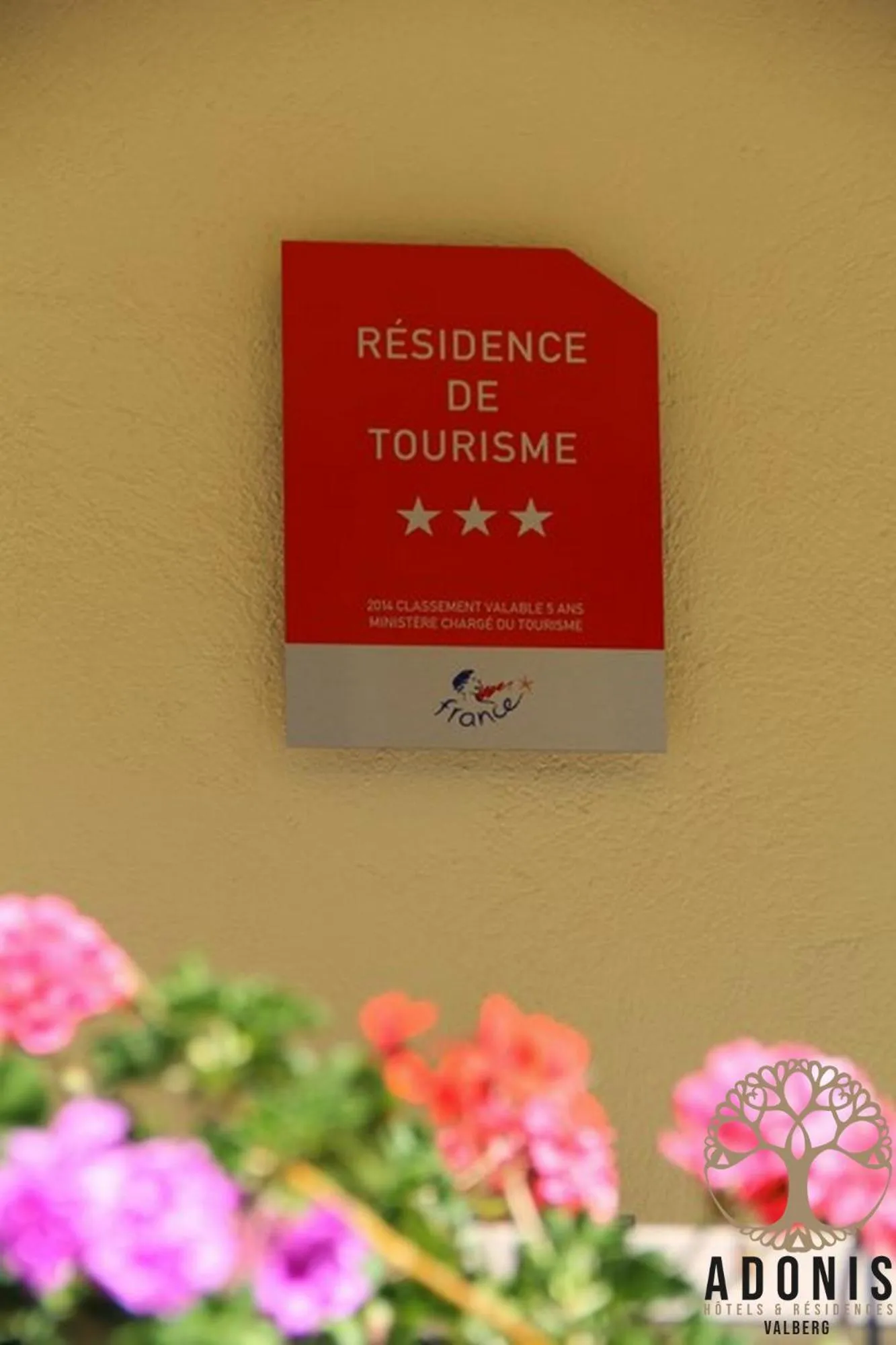 Logo/Certificate/Sign in Adonis Valberg