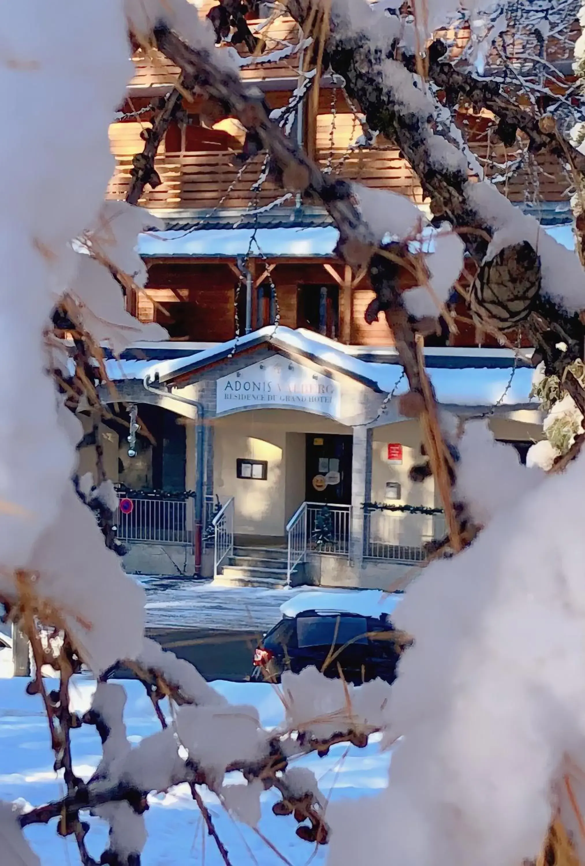 Property building in Adonis Valberg Property building in Adonis Valberg