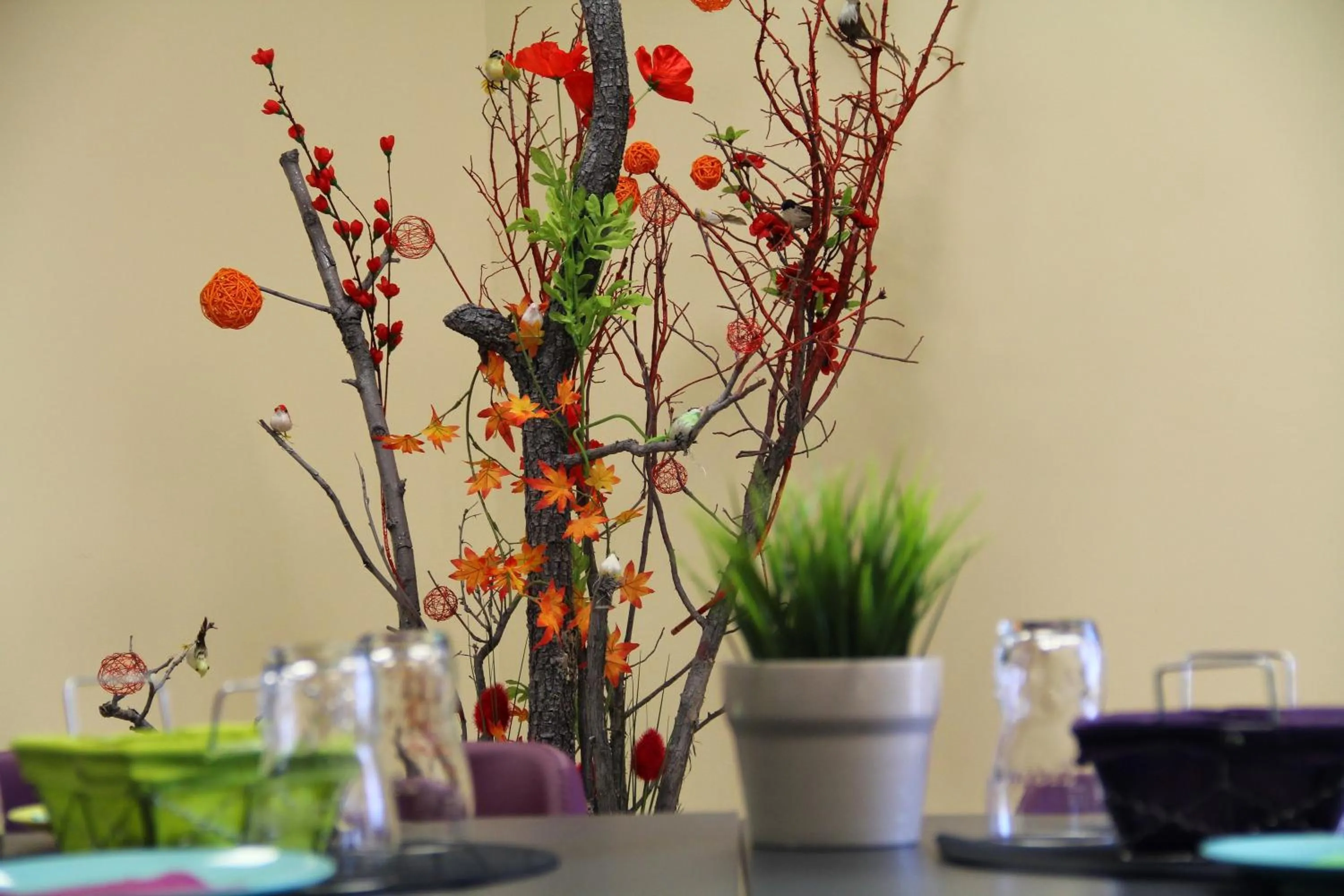 Coffee/tea facilities in Adonis Valberg