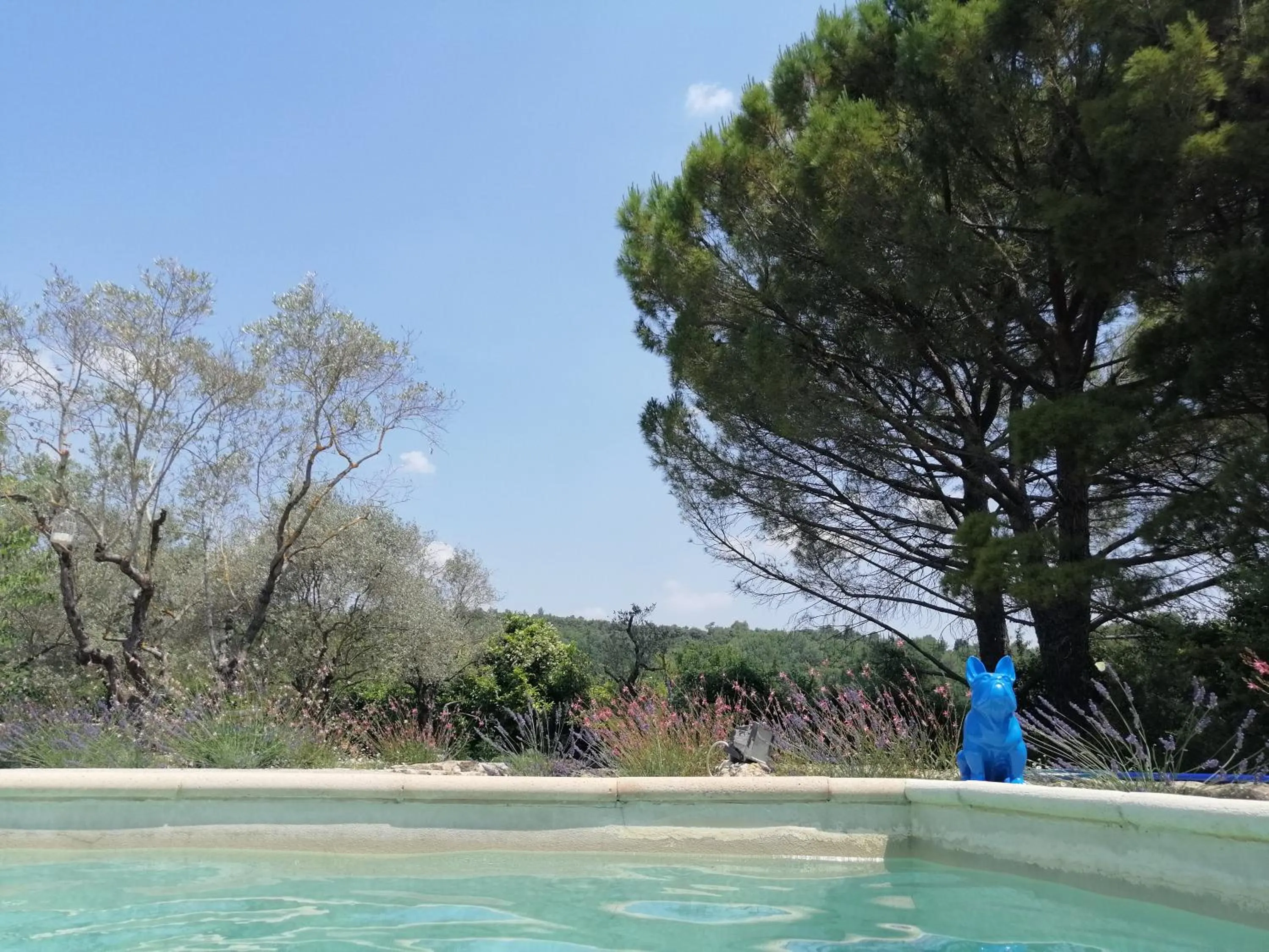 Natural landscape in Le mas de la diligence