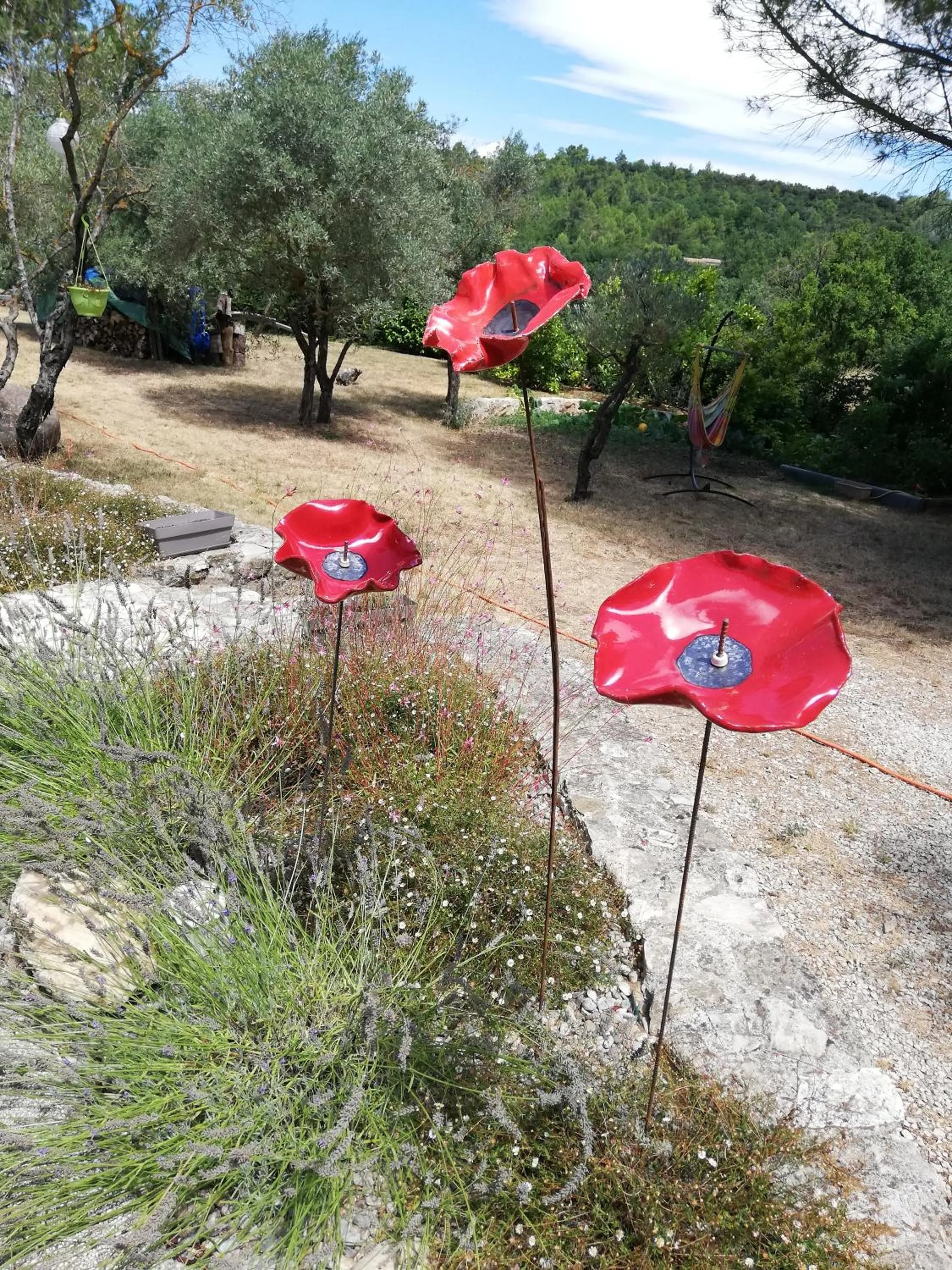 Garden in Le mas de la diligence