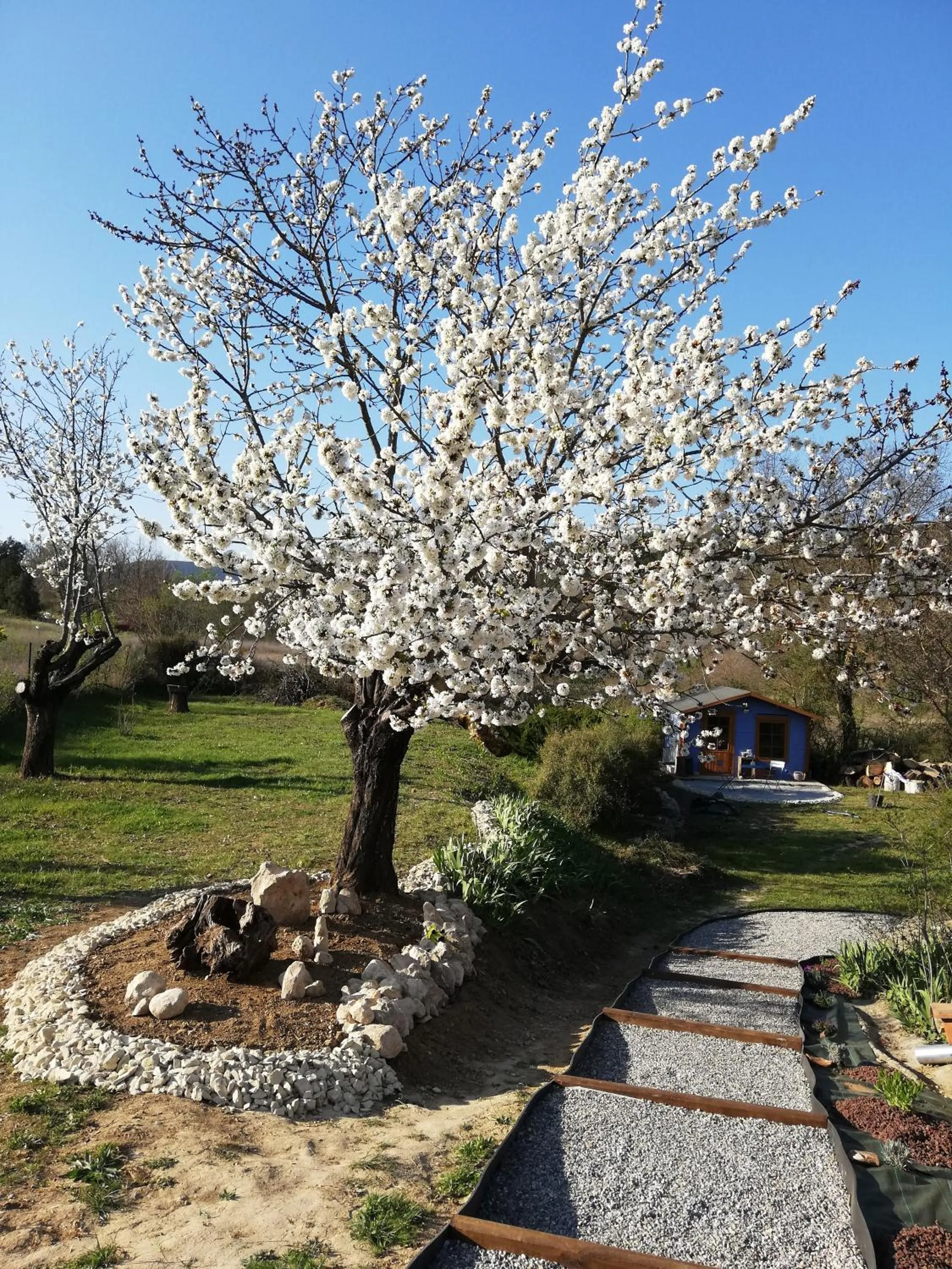 Garden in Le mas de la diligence
