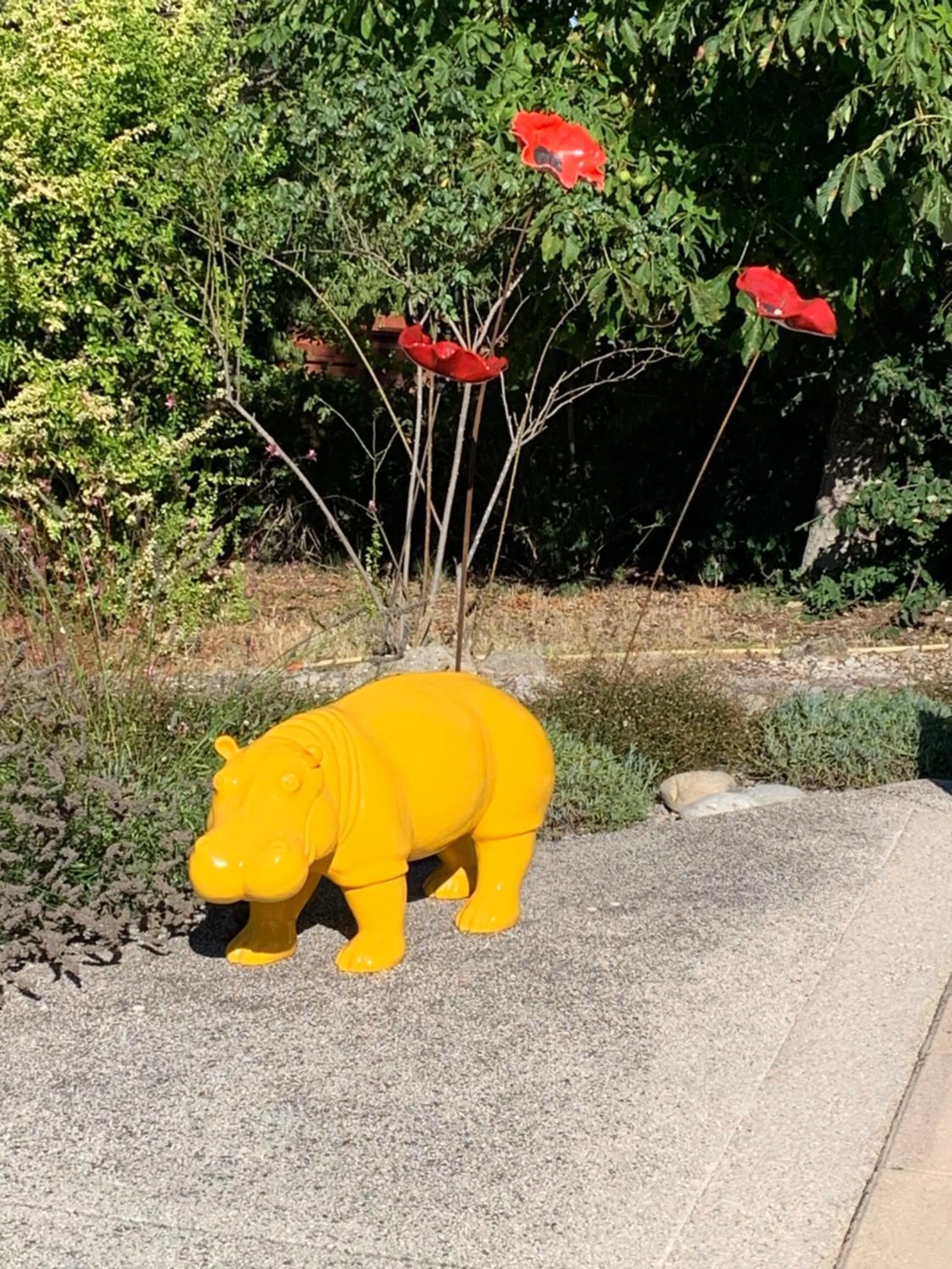 Garden in Le mas de la diligence