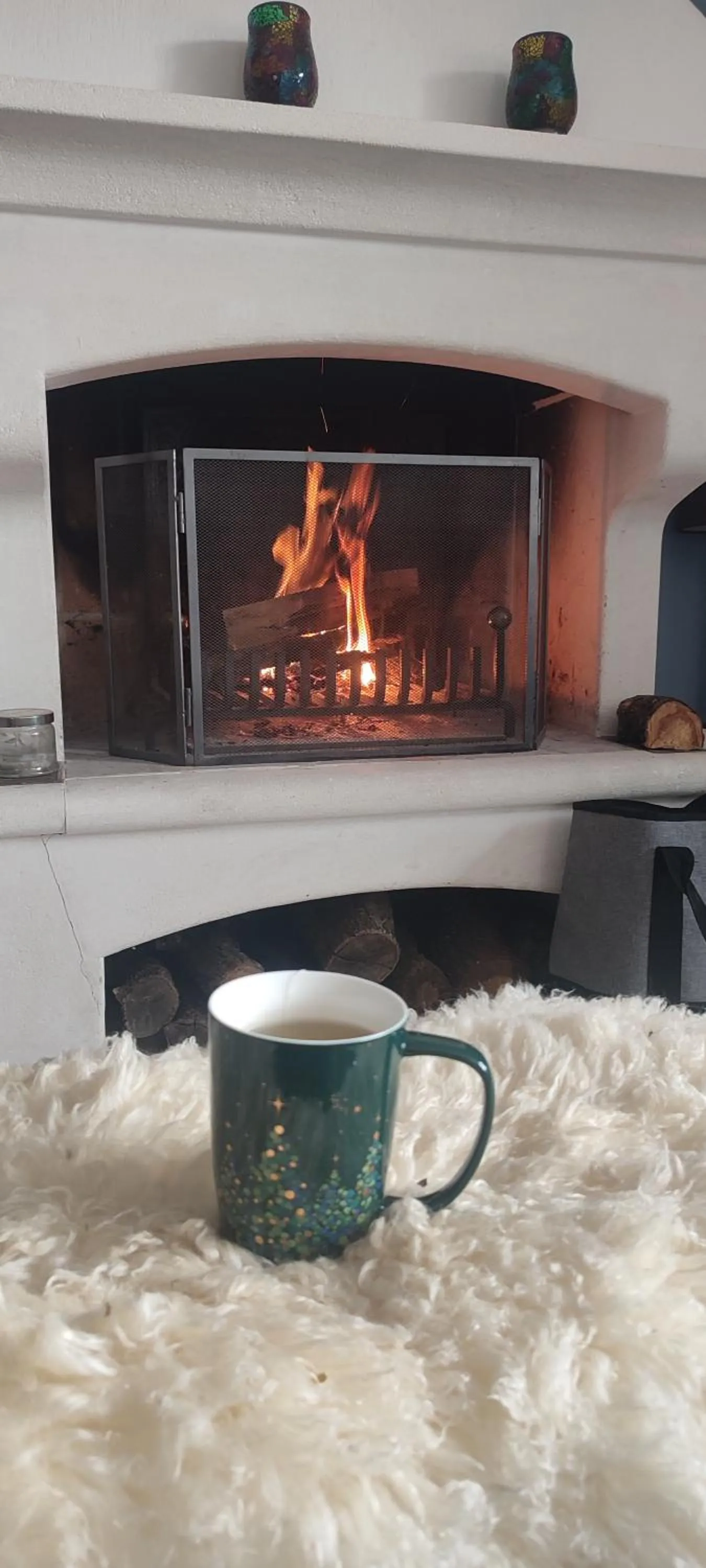 fireplace in Le mas de la diligence