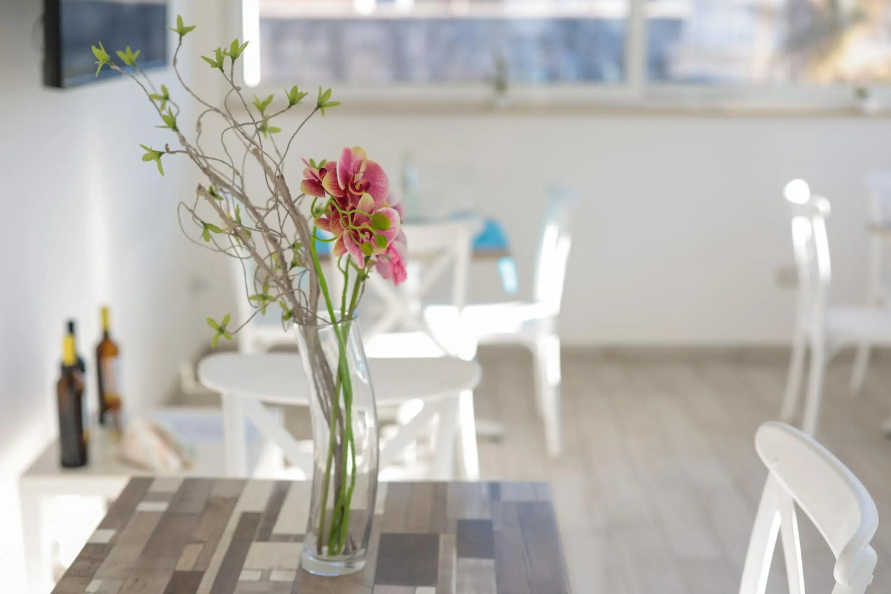 Restaurant/places to eat in Fuori Rotta Restaurant/places to eat in Fuori Rotta