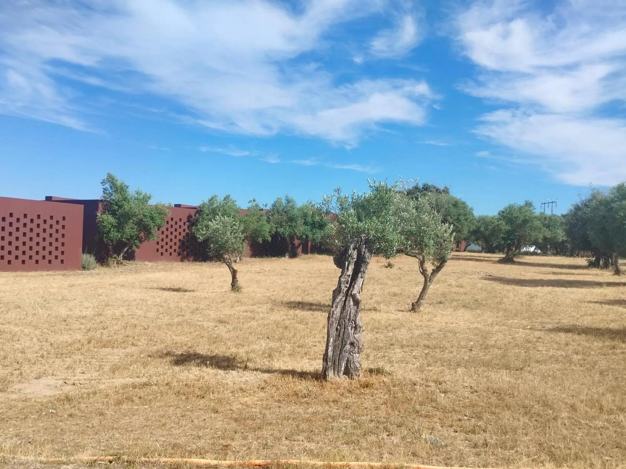 Property building in The Lince Ecorkhotel Évora