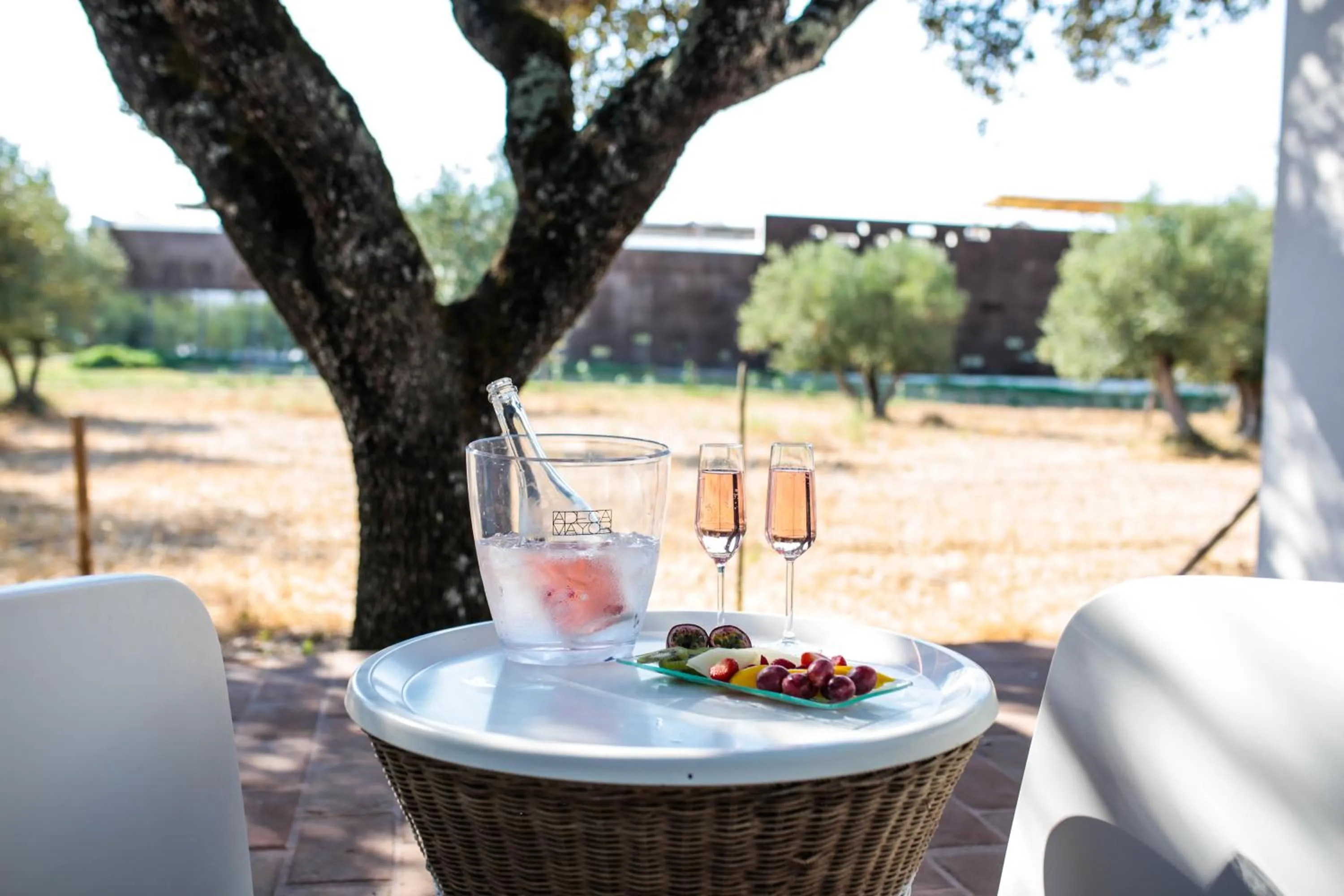 View (from property/room) in The Lince Ecorkhotel Évora